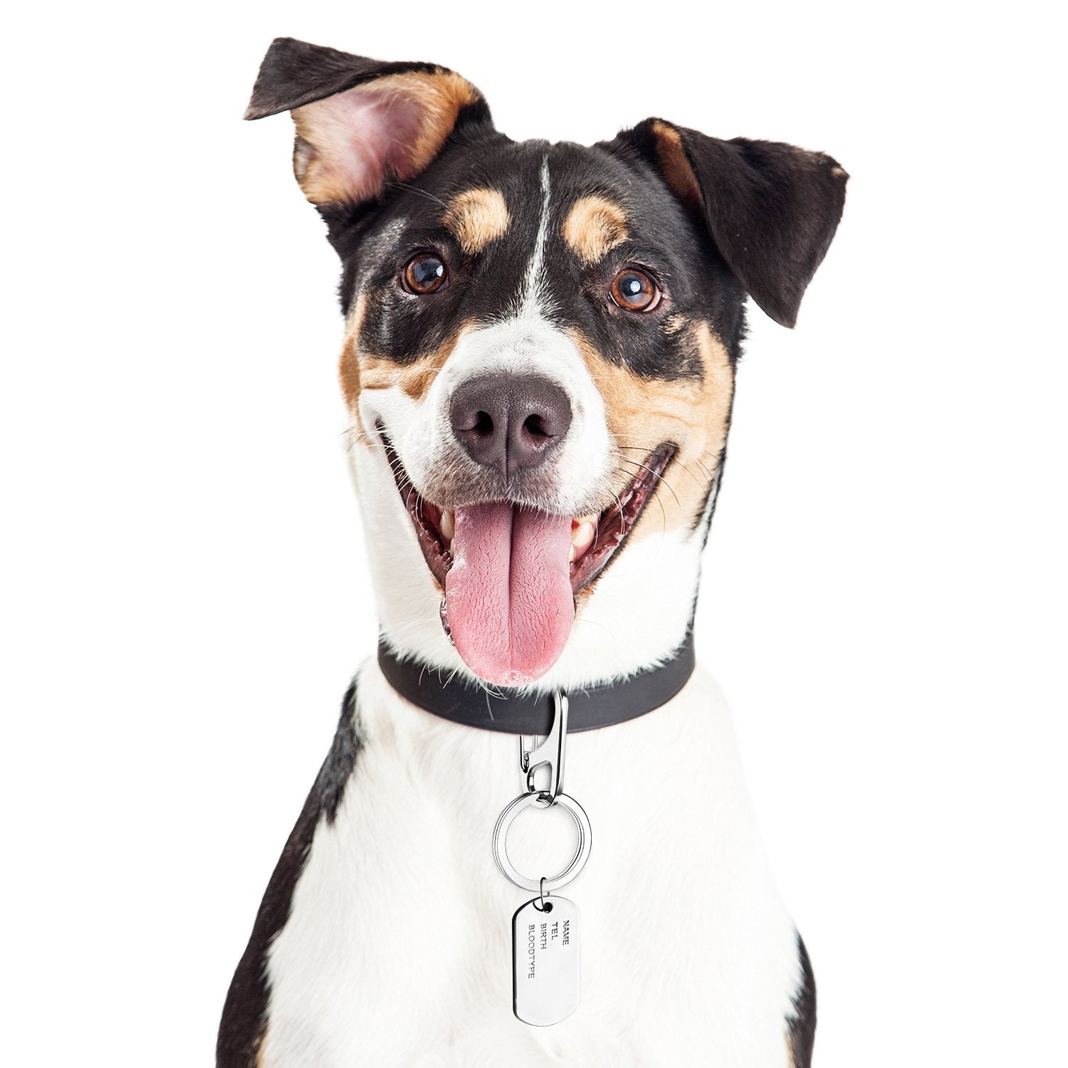 Jovitec 3 Sets Dog Tag Clip Id Tag With Rings Holder For Dogs And Cats Collars Harnesses