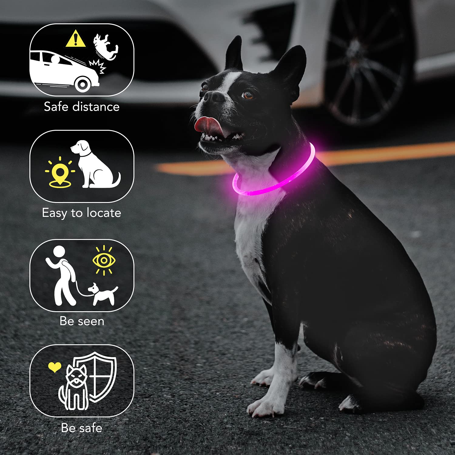 Colaseeme Led Dog Collar Light Up Dog Collars 1 Count Usb Rechargeable Tpu Glow Safety Basic Dog Collars, Please Do Not Use Fast