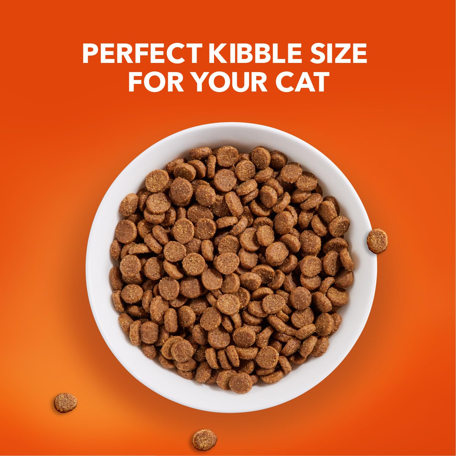 IAMS Proactive Health Healthy Senior Dry Cat Food with Chicken, 7 lb. Bag