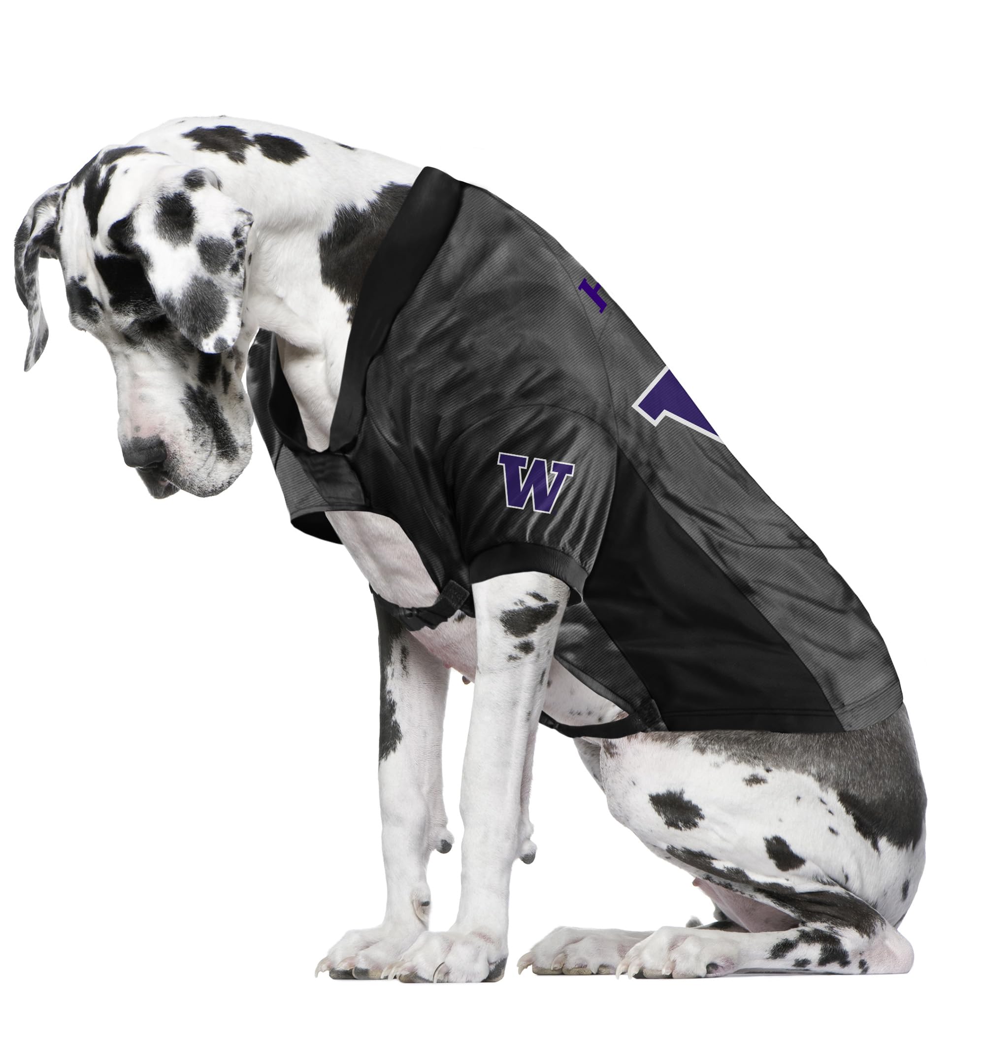 Washington Huskies Pet Jersey Stretch Size Big Dog - Special Order