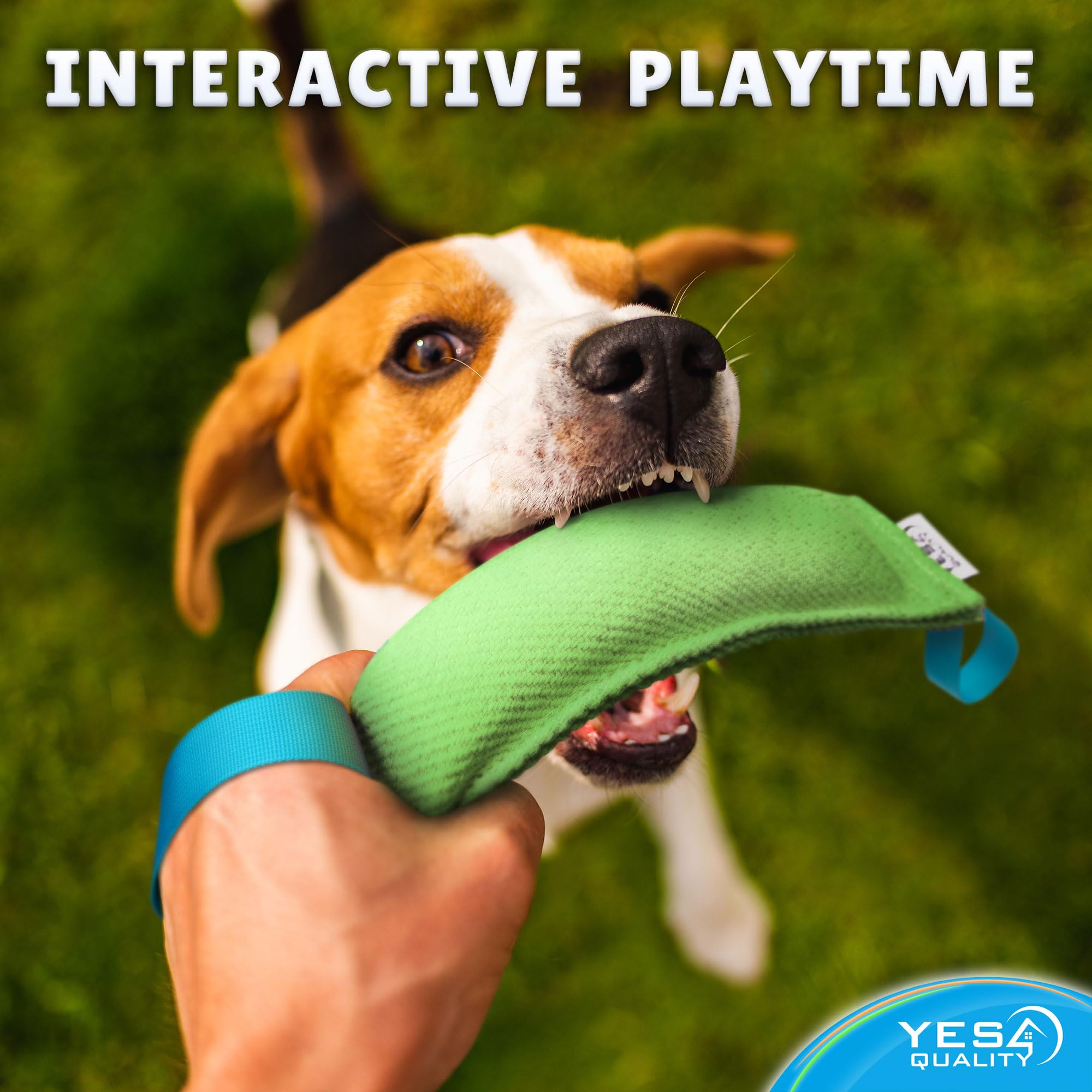 Yes4Quality Dog Bite Tug Toy (11.8'X3.5'), Durable Green Pull Toy W/ 2 Soft & Strong Blue Handles, Tough Nylon Bite Pillow For Small To Medium Dogs, Ideal For Tug Of War, Fetch, K9, Puppy Training