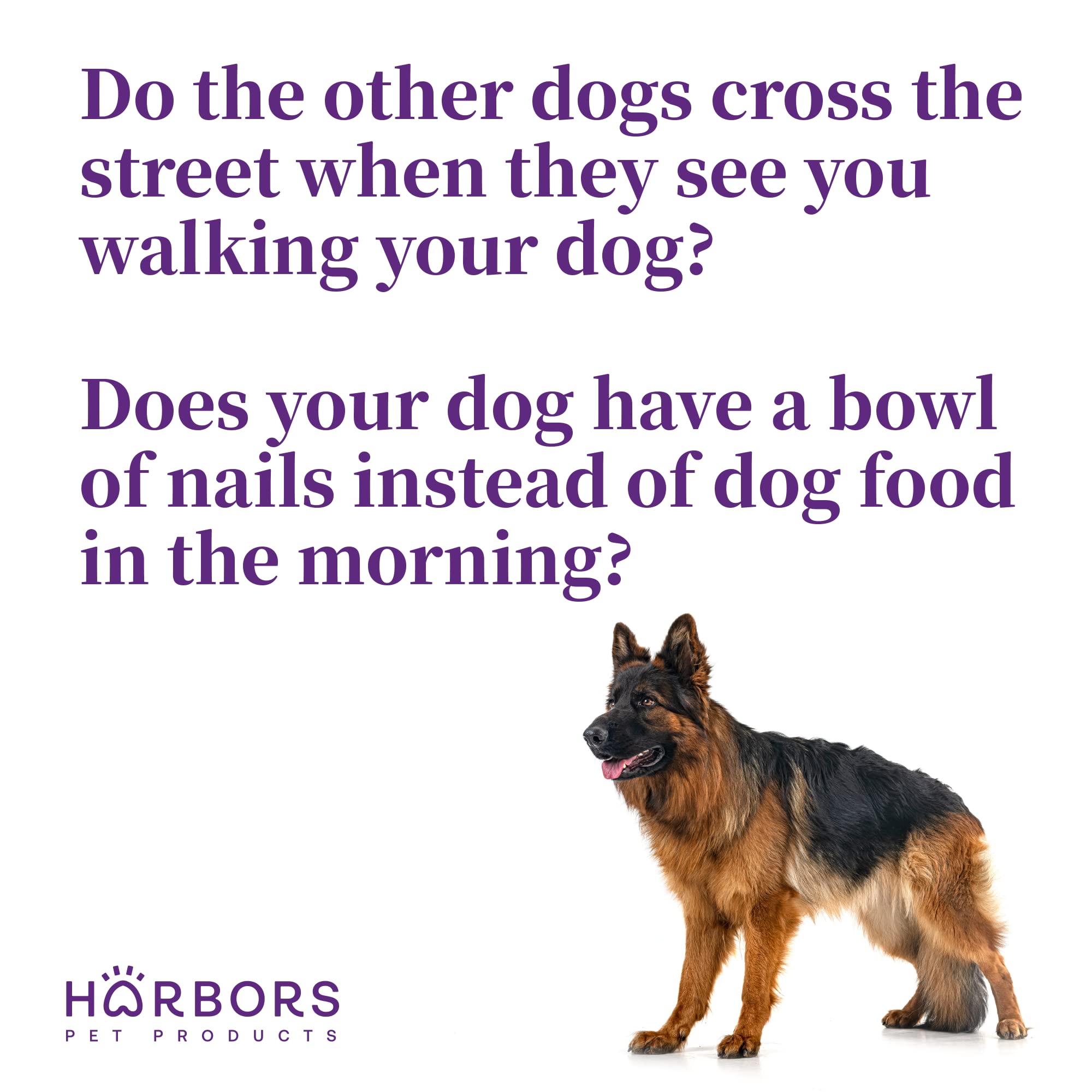 Harbor'S Bad Dog Cologne