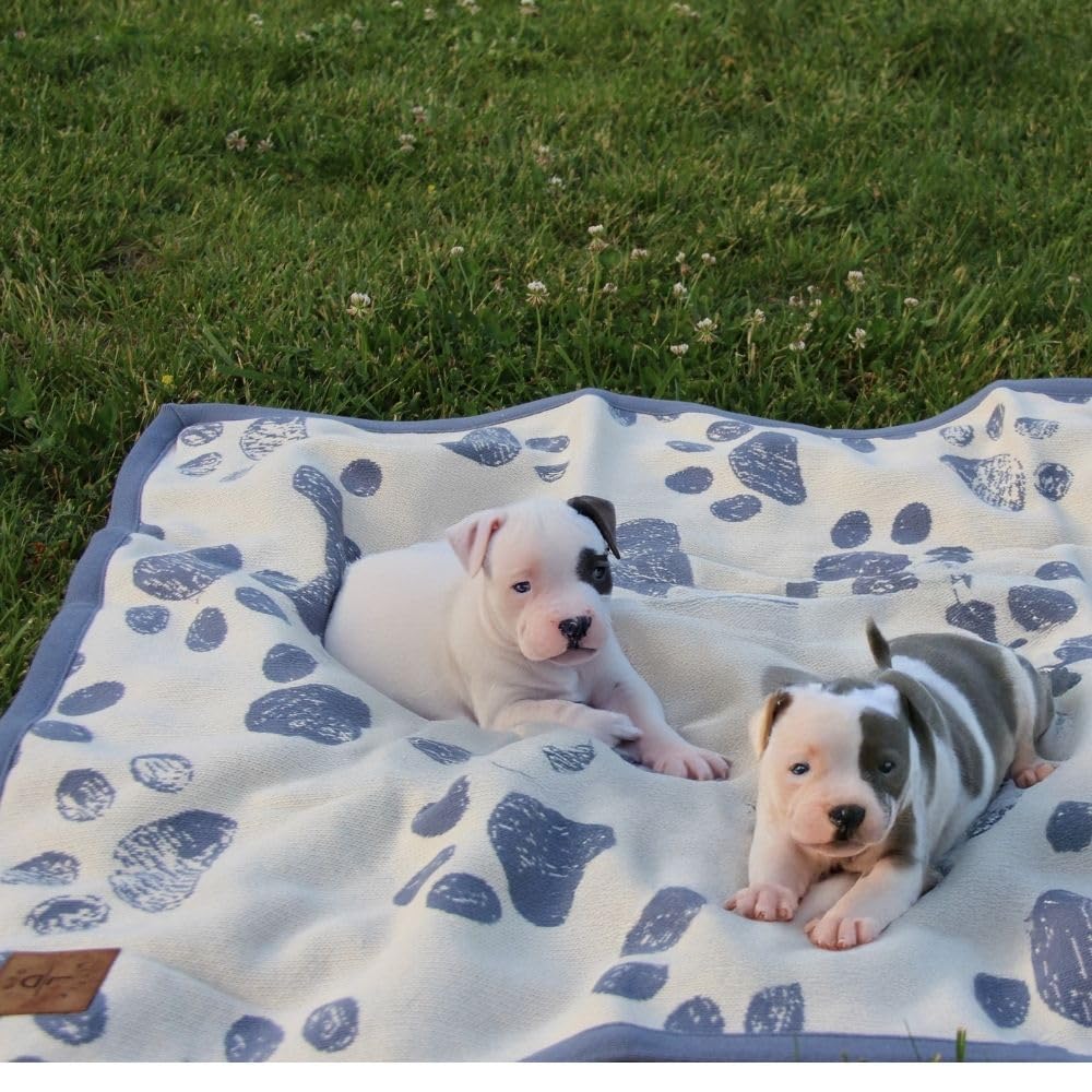 Little Dedi Small Pet Blanket - 100% Organic Cotton, Double Layer Plush Sherpa, Soft Plush, Blue Paw Jacquard Knit, 30''X38'', S