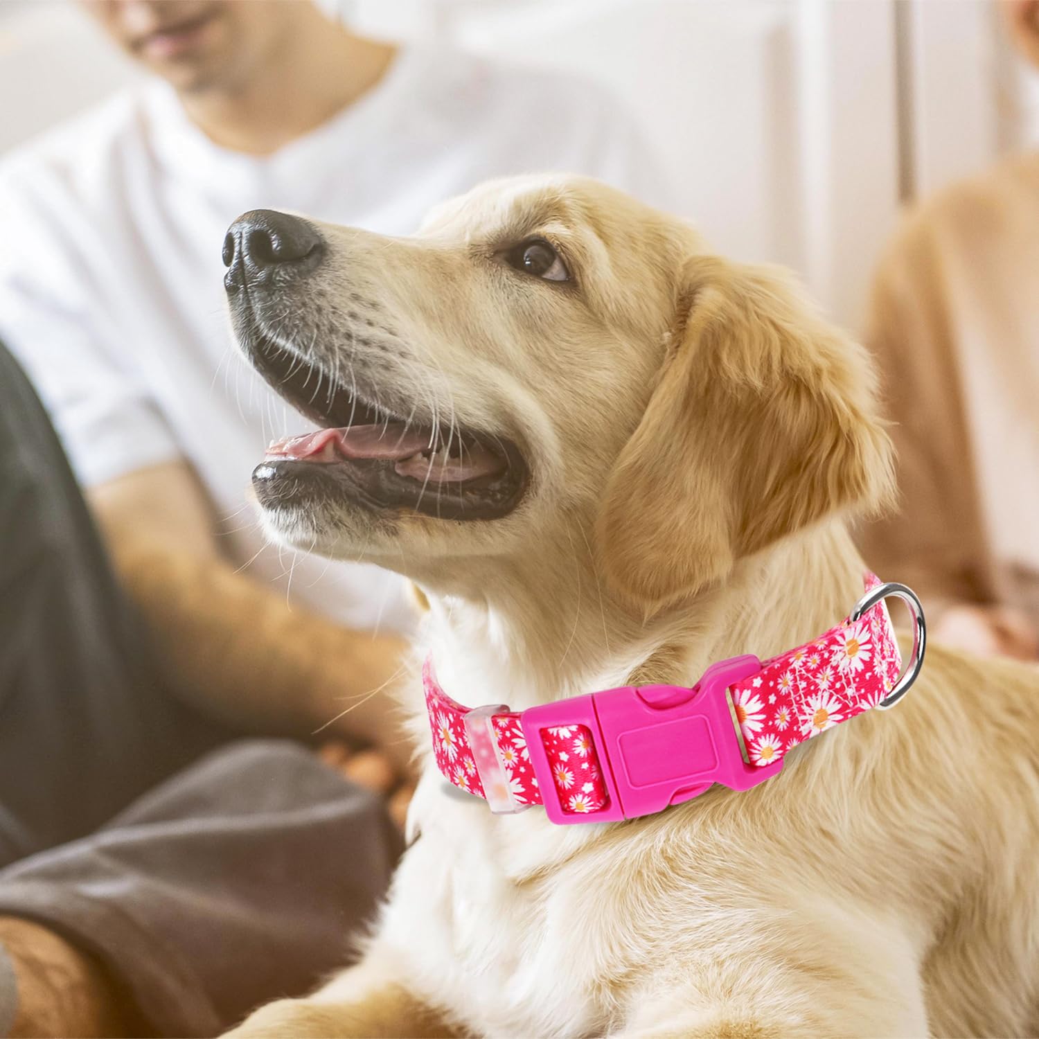 Pink Dog Collars for Large Dogs, Cute Girl Hot Pink Daisy Dog Collar, Adjustable Nylon Comfy Soft Pet Collar with Quick-Release