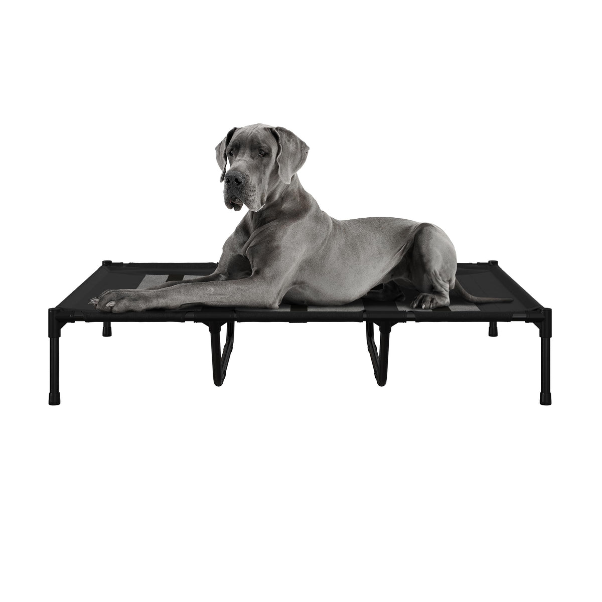 Petmaker Elevated Dog Bed - 48X36-Inch Portable Pet Bed With Non-Slip Feet - Indoor/Outdoor Dog Cot Or Puppy Mattress For Pets U