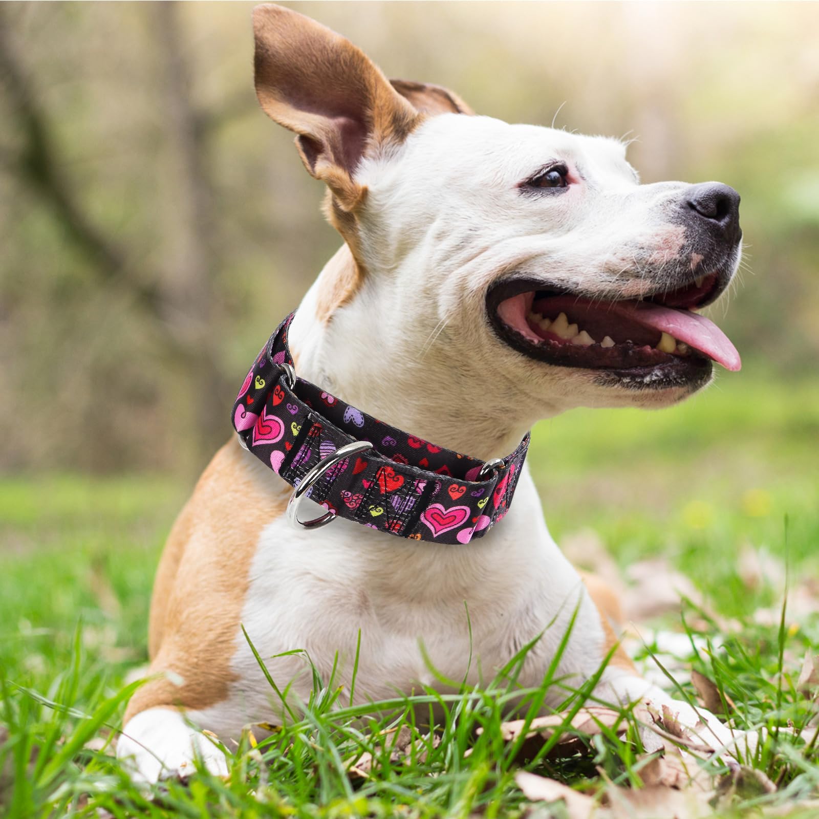 Valentine'S Day 1.5 Inch Wide Martingale Dog Collar, Cute Loving Heart Collar For Medium Large Extra Large Dogs -Heart M