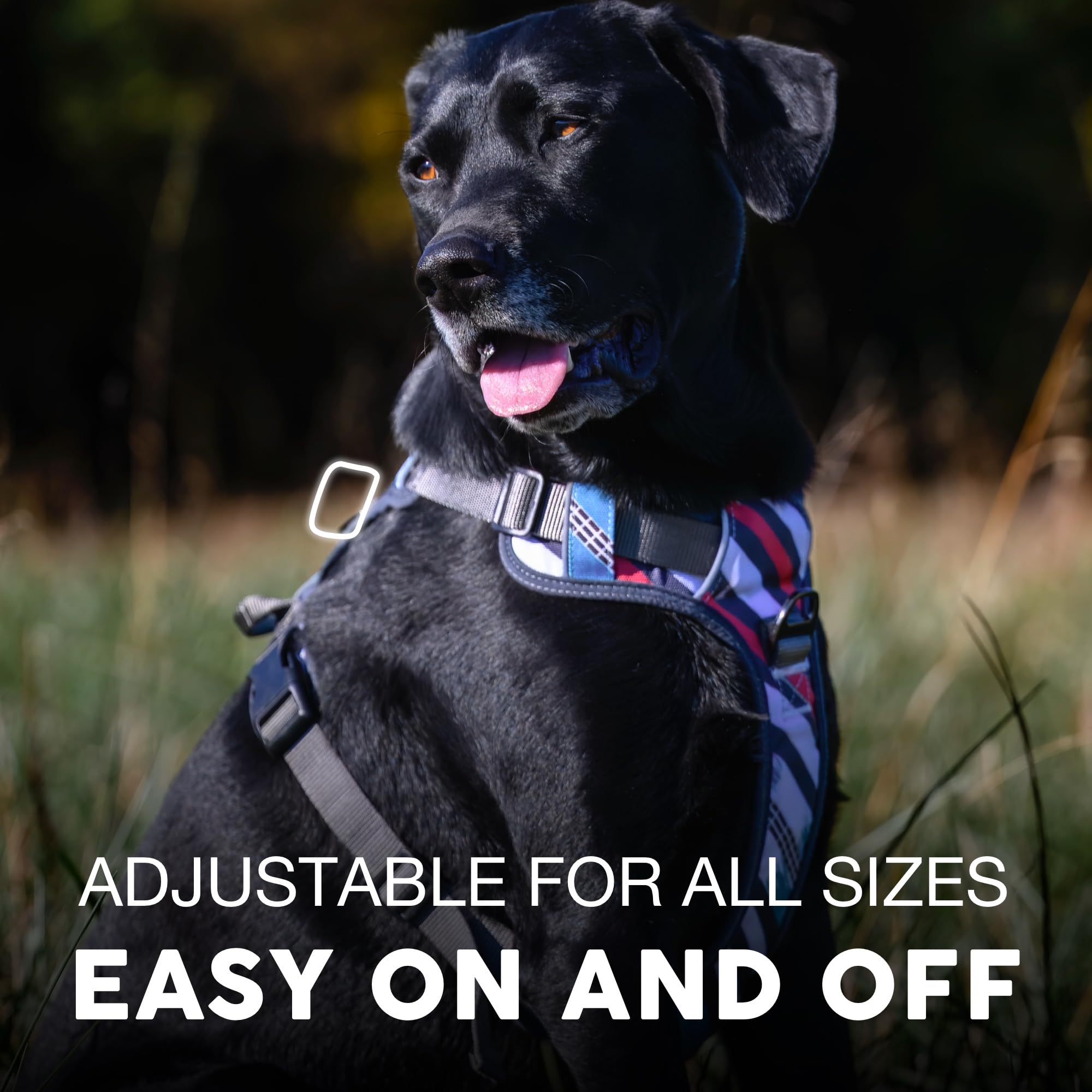 Embark Adventure Dog Harness, Reflective Trim Xl Dog Harness For Extra Large Dogs No Pull - Military Grade Nylon, 2 Leash Clips
