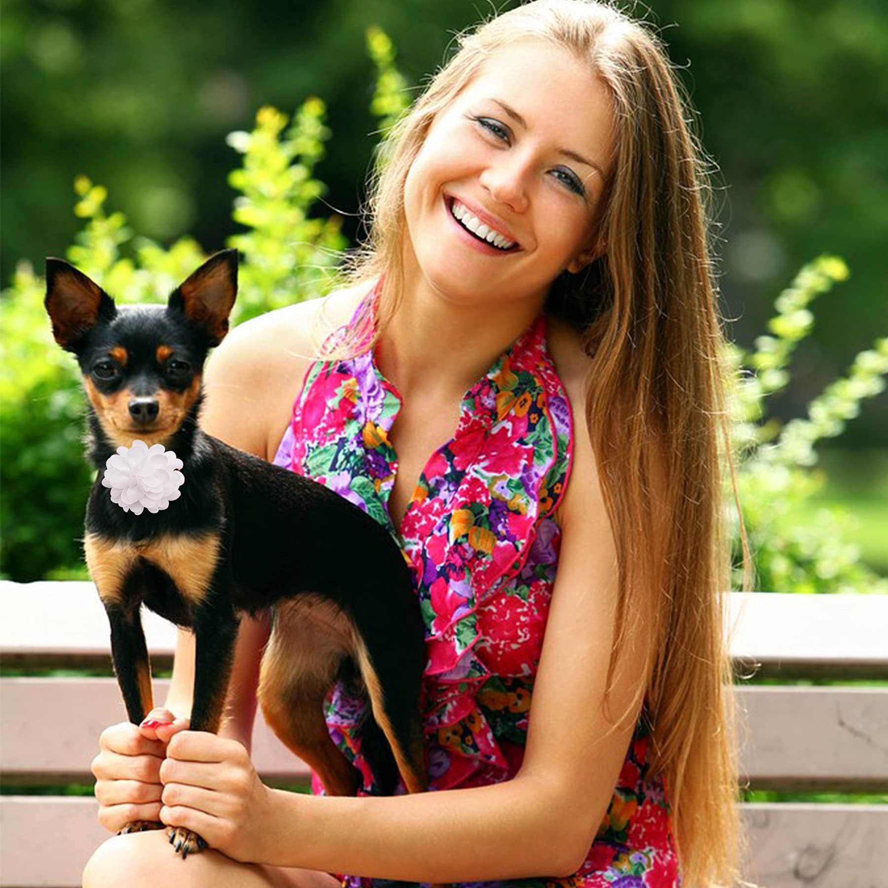 Pet Show 12Pcs White Dog Collar Bows And Flowers Attachment For Girls Puppies Cats Female Small Medium Dogs Collars Embellishmen