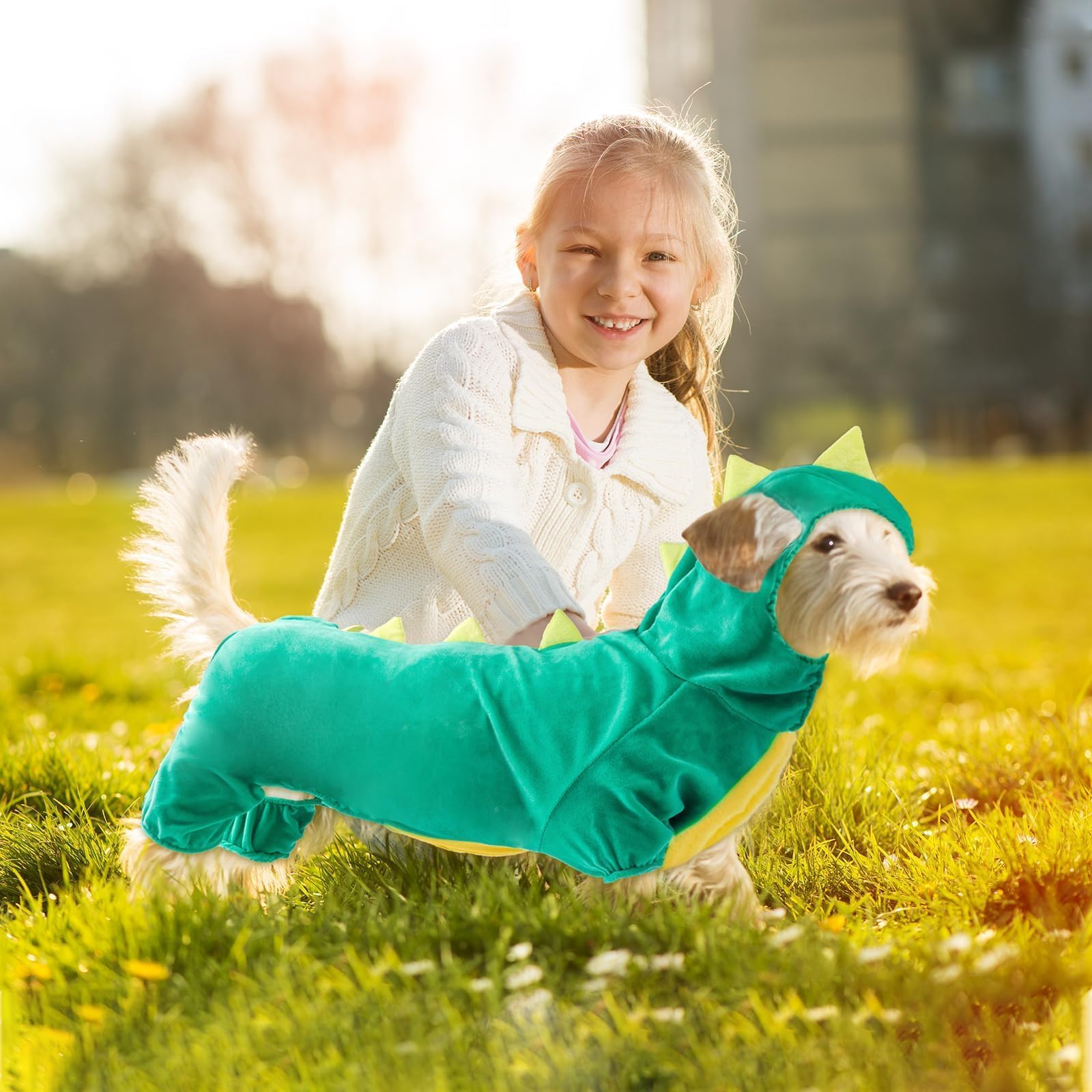 Hotumn Dinosaur Dog Halloween Costume Pet Dino Hoodie For Medium Dogs (X-Large, Green)