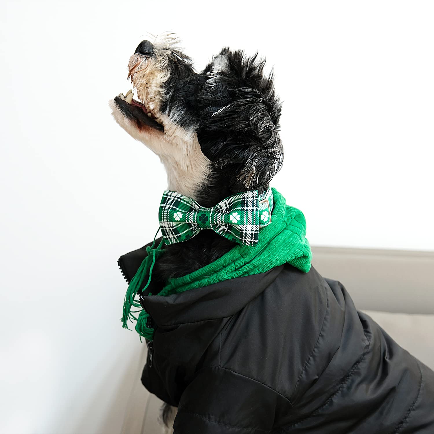 Lionet Paws St Patricks Day Dog Collar With Bowtie, Irish Green Shamrock Clover Bowtie Collar With Metal Buckle For Dog Girl Boy