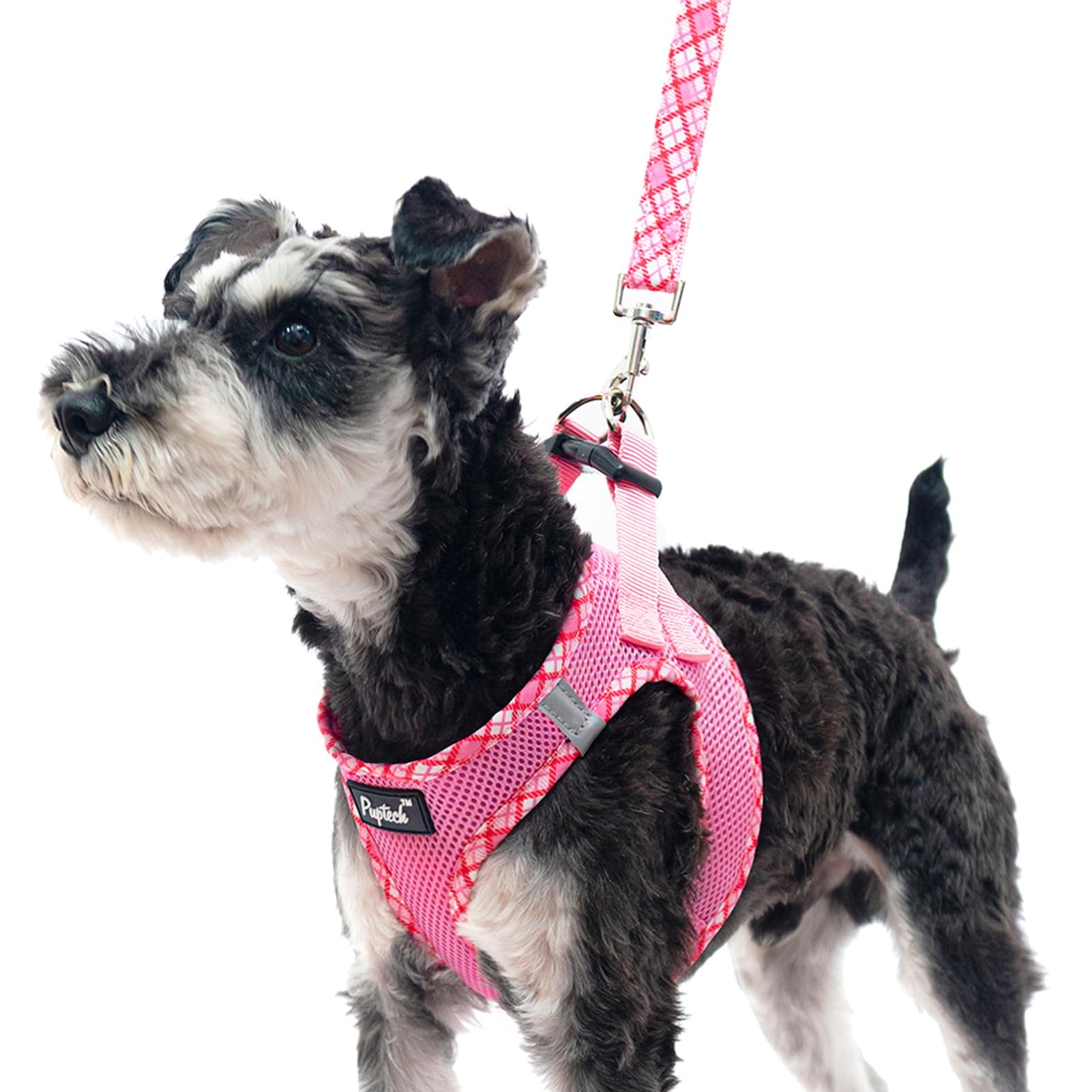 Pupteck Dog Harness And Leash Set For Small Medium Dogs No Pull Step-In Soft Mesh Puppy Cat Vest Harnesses Reflective At Night, Pink S
