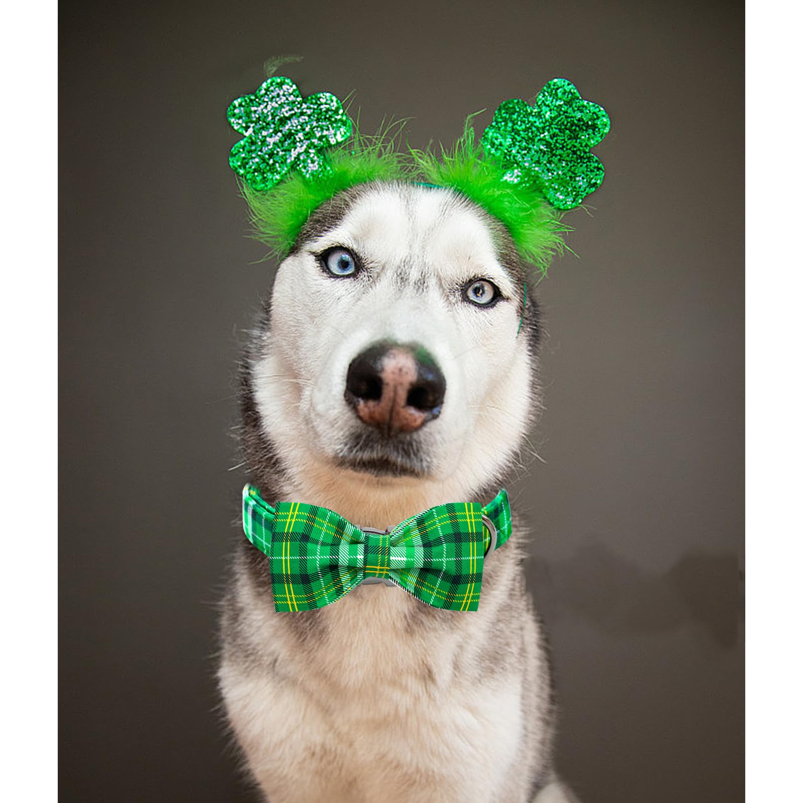 Lionheart Glory St. Patrick'S Day Dog Collar For X-Small Dogs, Adjustable Green Plaid Collar With Bowtie