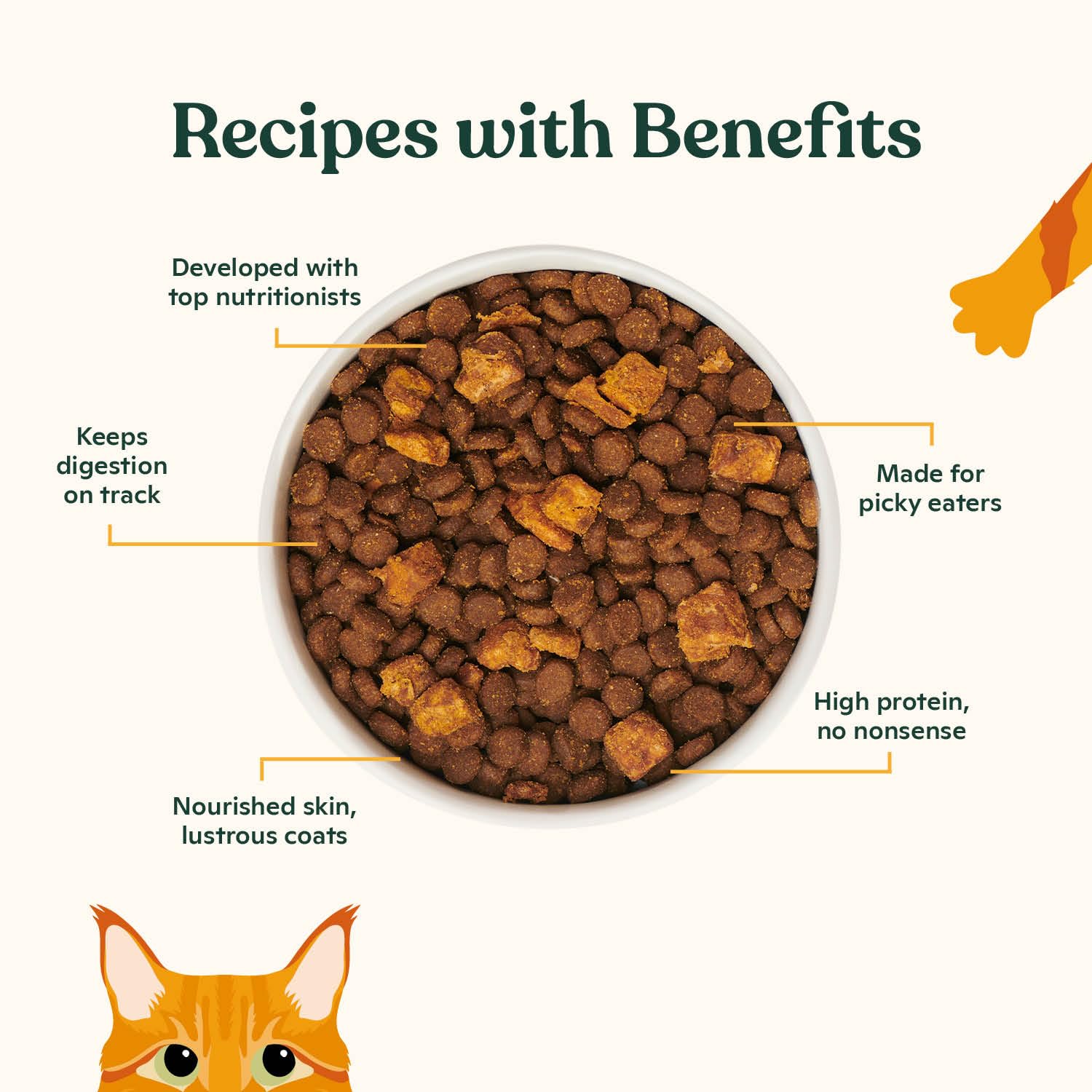 Made by Nacho Dry Cat Kibble 4lb Bag, High Protein Premium Cat Food with Freeze Dried Pieces, Sustainably-Caught Salmon, Whitefi