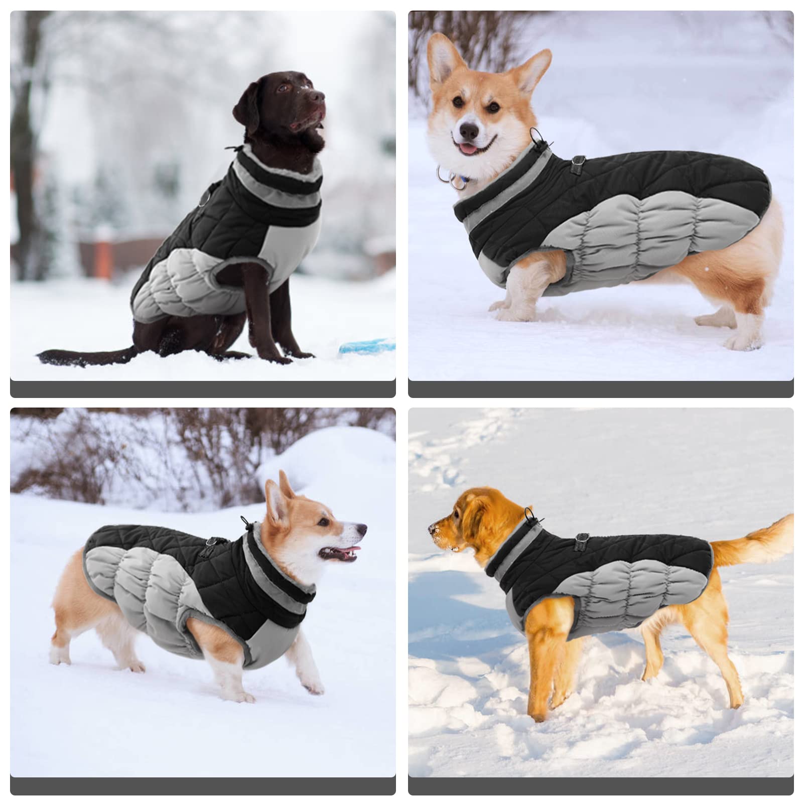 Fuamey Warm Winter Dog Jacket With Built-In Harness, Waterproof Windproof Reflective Fleece Vest With Zipper For Medium Dogs - B