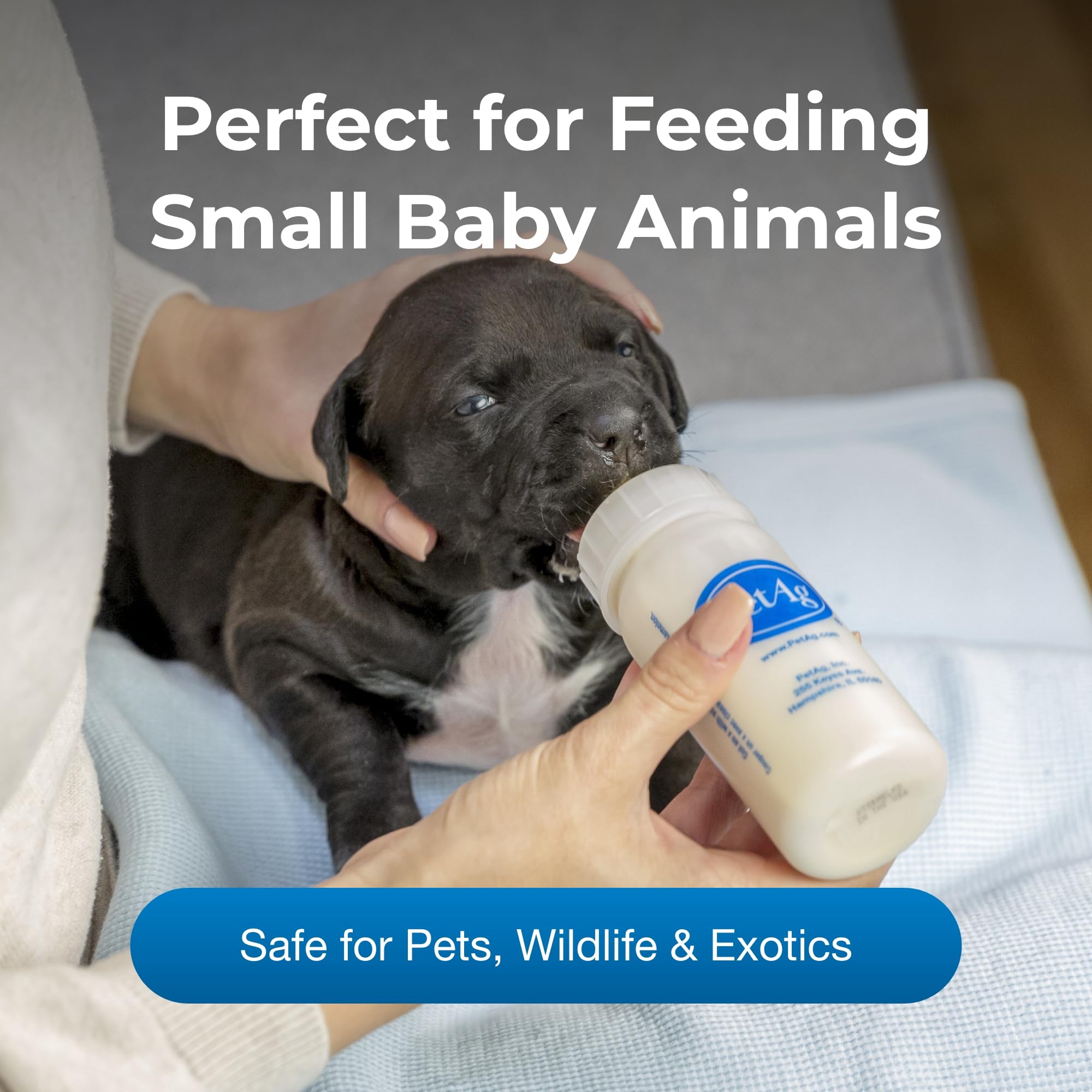 PetAg Nursing Kit - 4 oz Bottles with Nipples & Cleaning Brush - Pack of 2 for Baby Animals