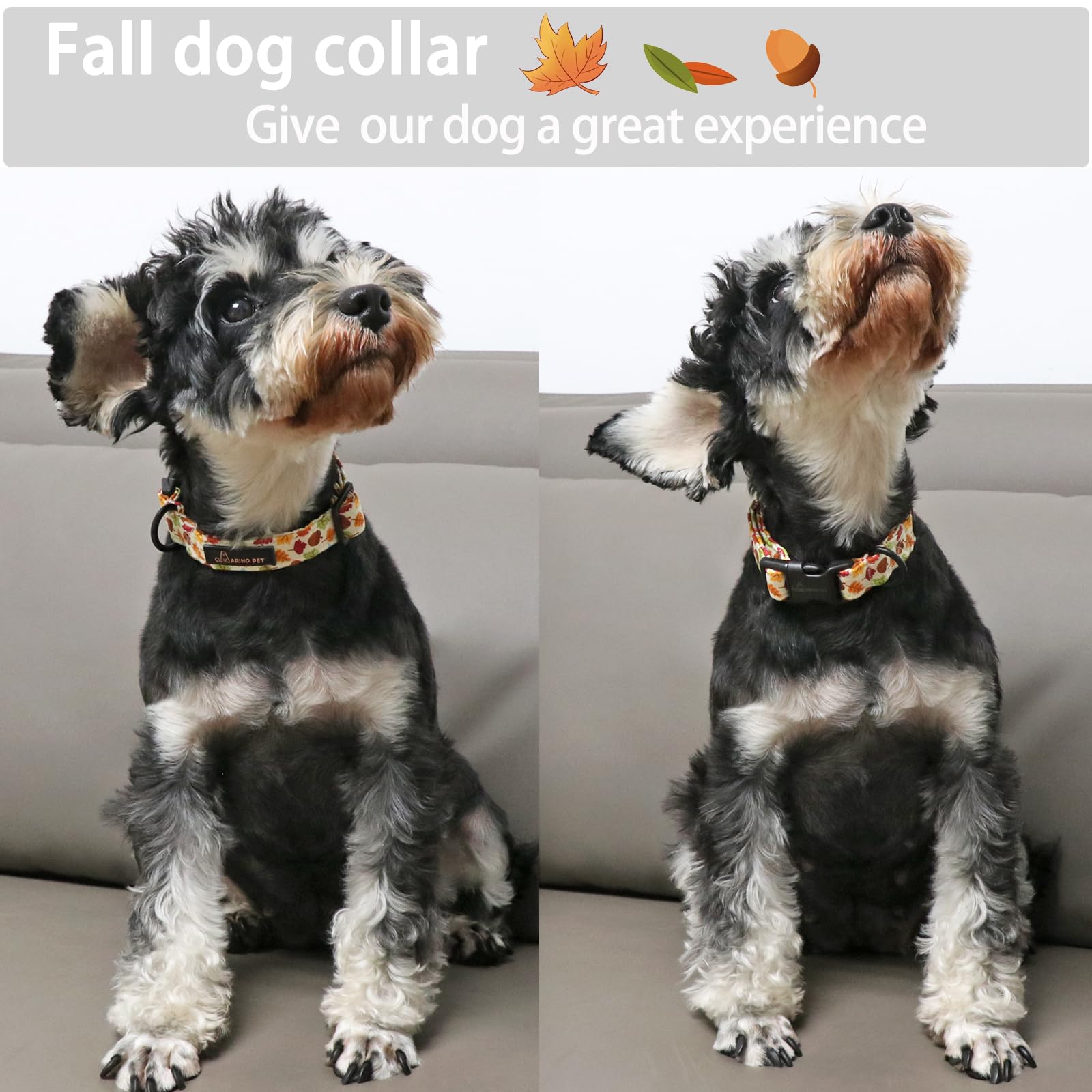 Aring Pet Fall Dog Collar-Cotton Maple Leaves Dog Collar For Small Dogs, Adjustable Lightweight Dog Collars With Quick Release B