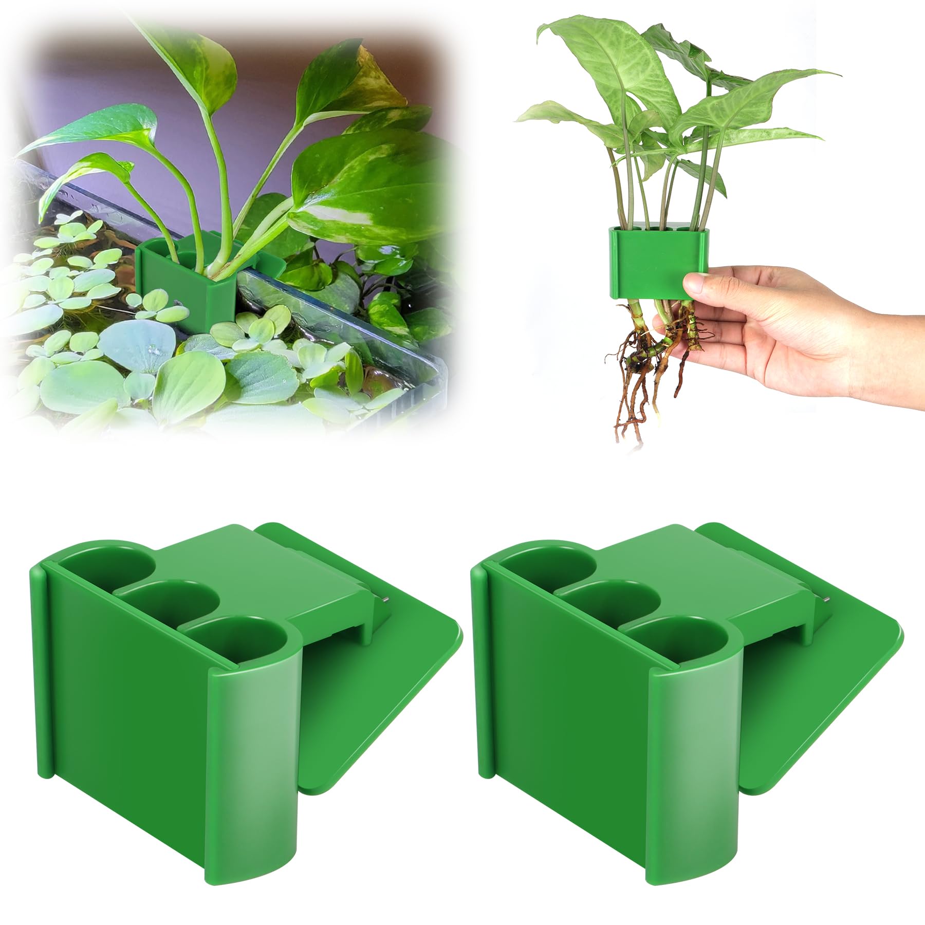 joqepy 2 Pk Upgraded Aquarium Plant Holder, 3-Hole Hanging Holder with Clip, Suitable for Fish Tank Decoration, Green