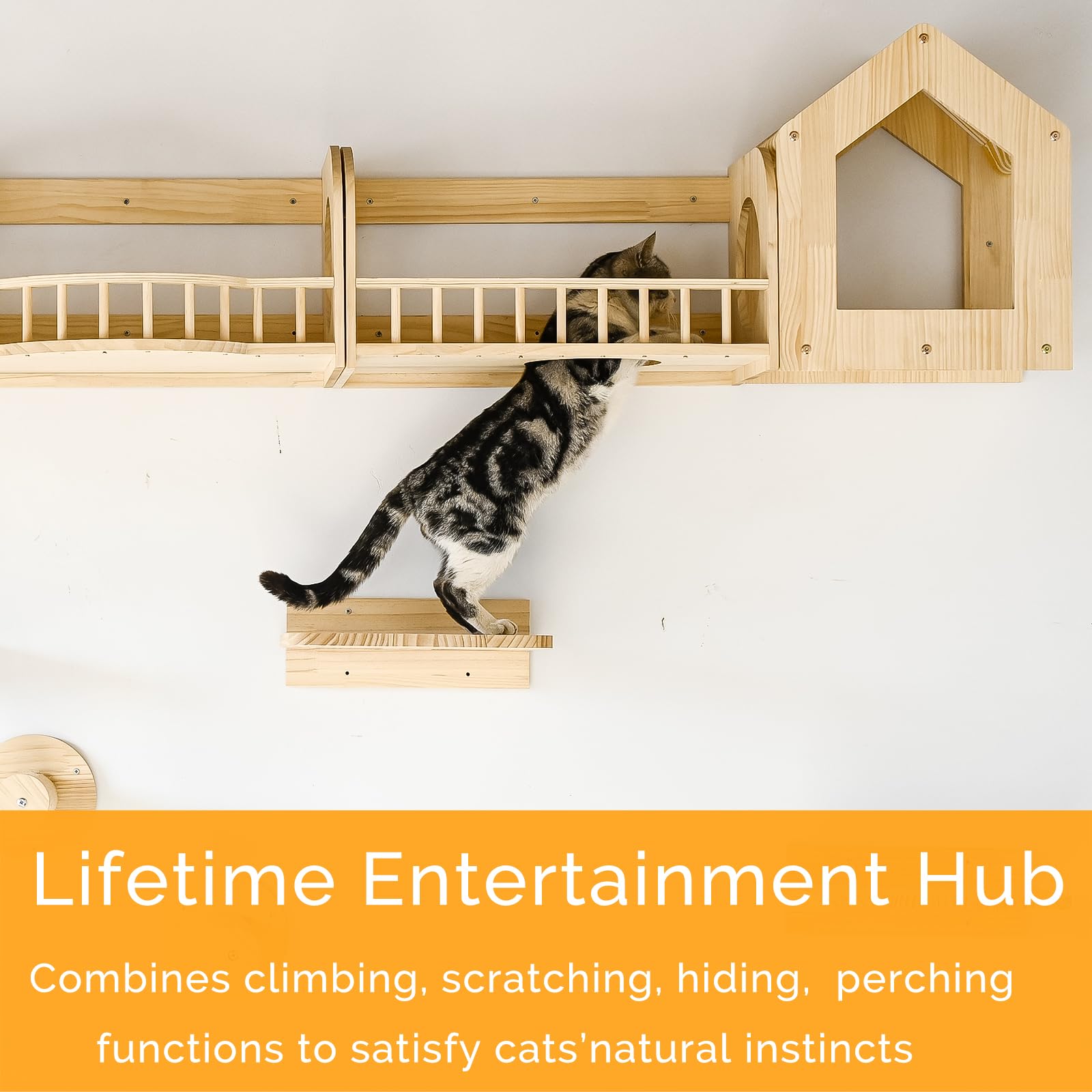 Cat Wall Shelves and Furniture Set with Condos, Perches, Bridge Ladders, Sisal Scratching Posts - Steps and Houses for Cats (D)