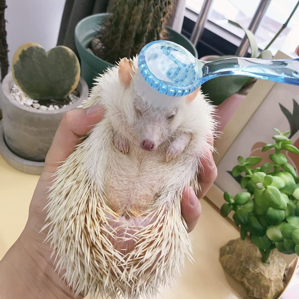 Woledoe 2 Pack Hedgehog Bath Brush, Guinea Pig Massage Combs, Cleaning Supplies, Fit Hamster, Ferrets, Rats, Chinchilla - Blue