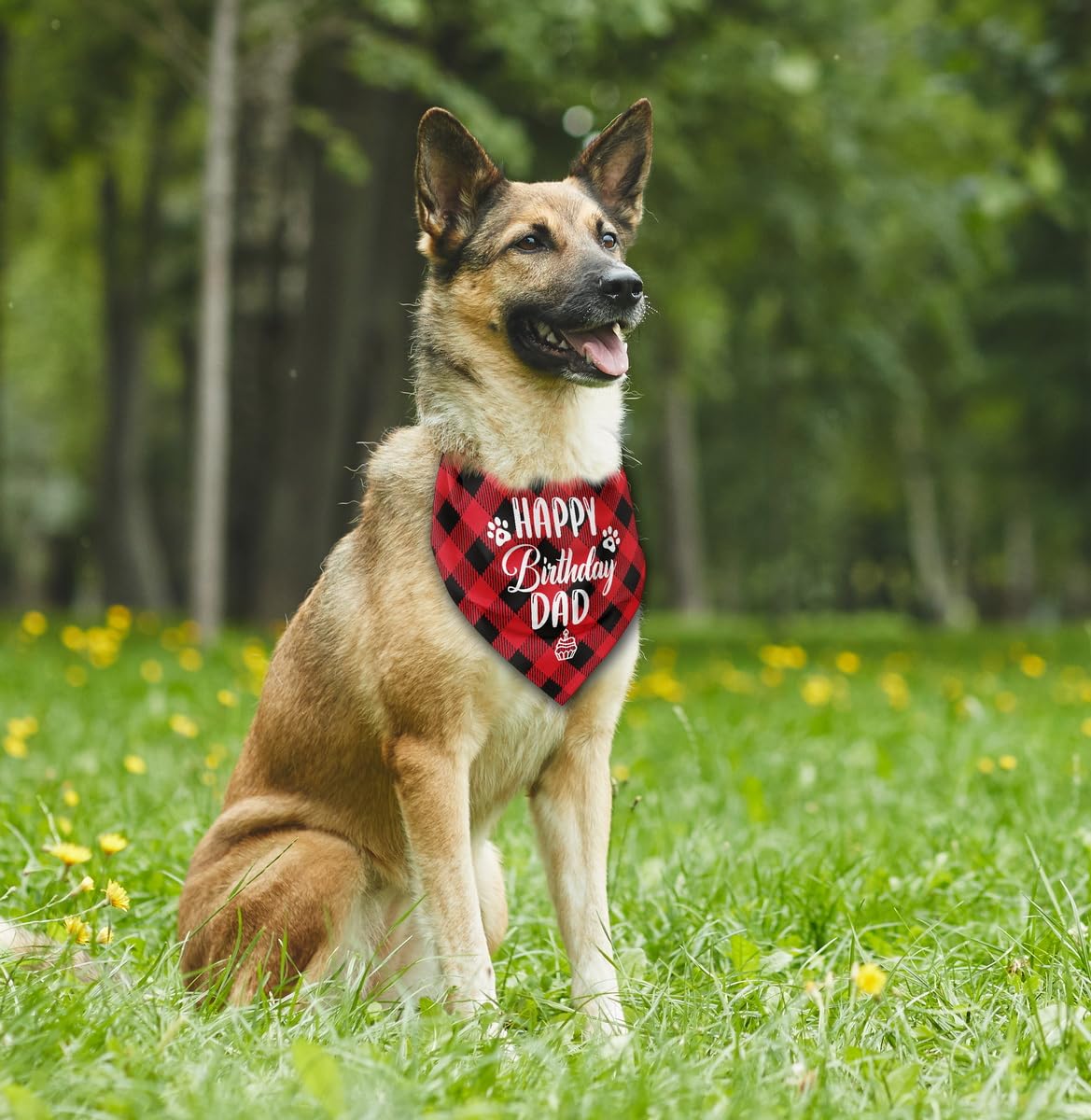 Dog Bandana For Happy Birthday Dad - Classical Plaid Printing Pet Scarf Accessories - Gift For Dad'S Birthday Party (K25)