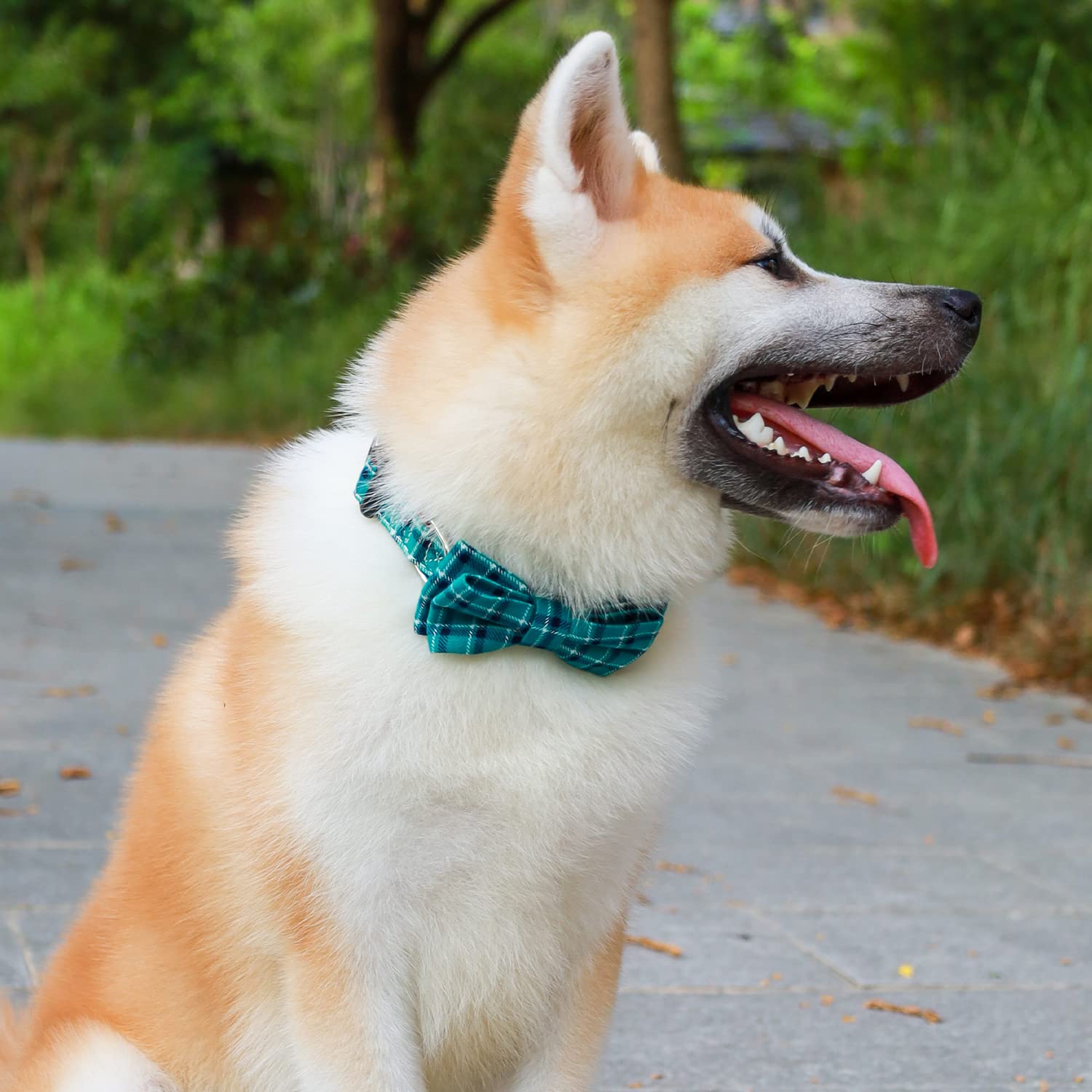 Faleela Soft &Comfy Bowtie Dog Collar,Detachable And Adjustable Bow Tie Collar,For Small Medium Large Pet (Medium (Pack Of 1), G