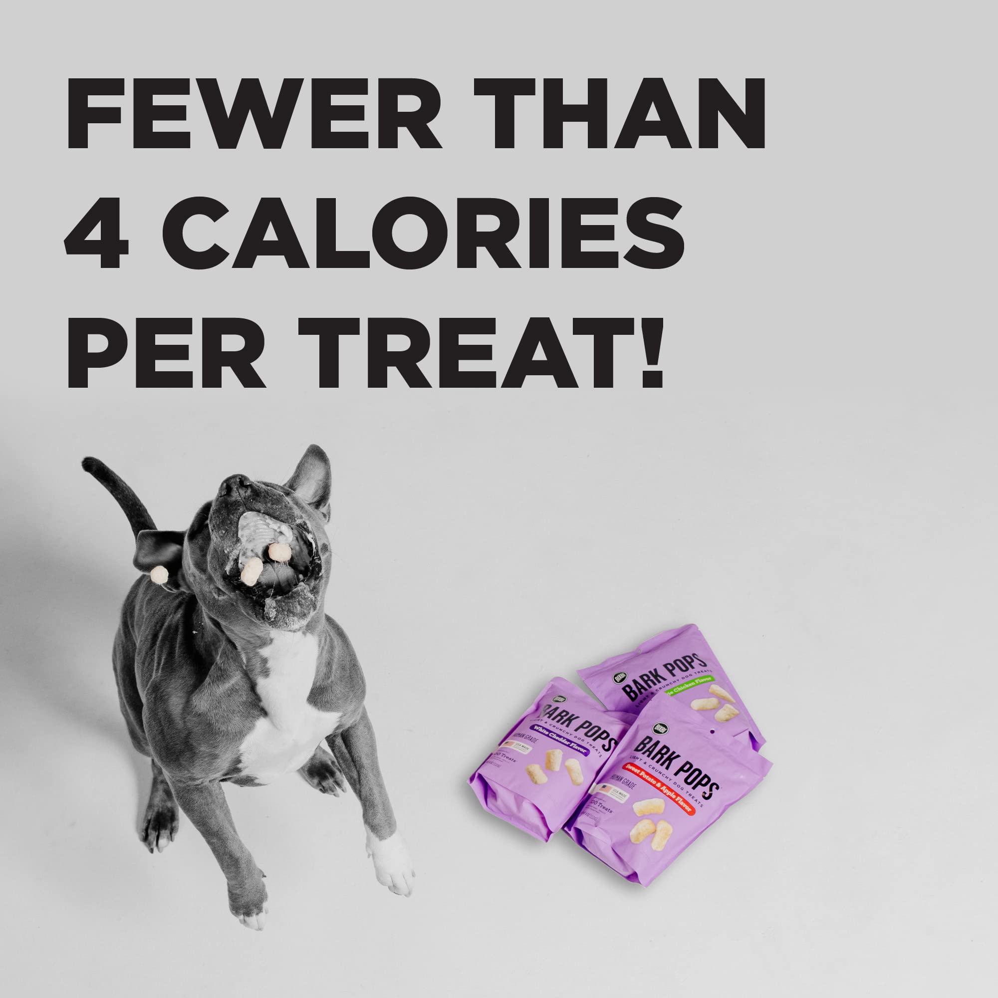 BIXBI Bark Pops, White Cheddar (4 oz, 1 Pouch) - Crunchy Small Training Treats for Dogs - Wheat Free and Low Calorie Dog Treats,