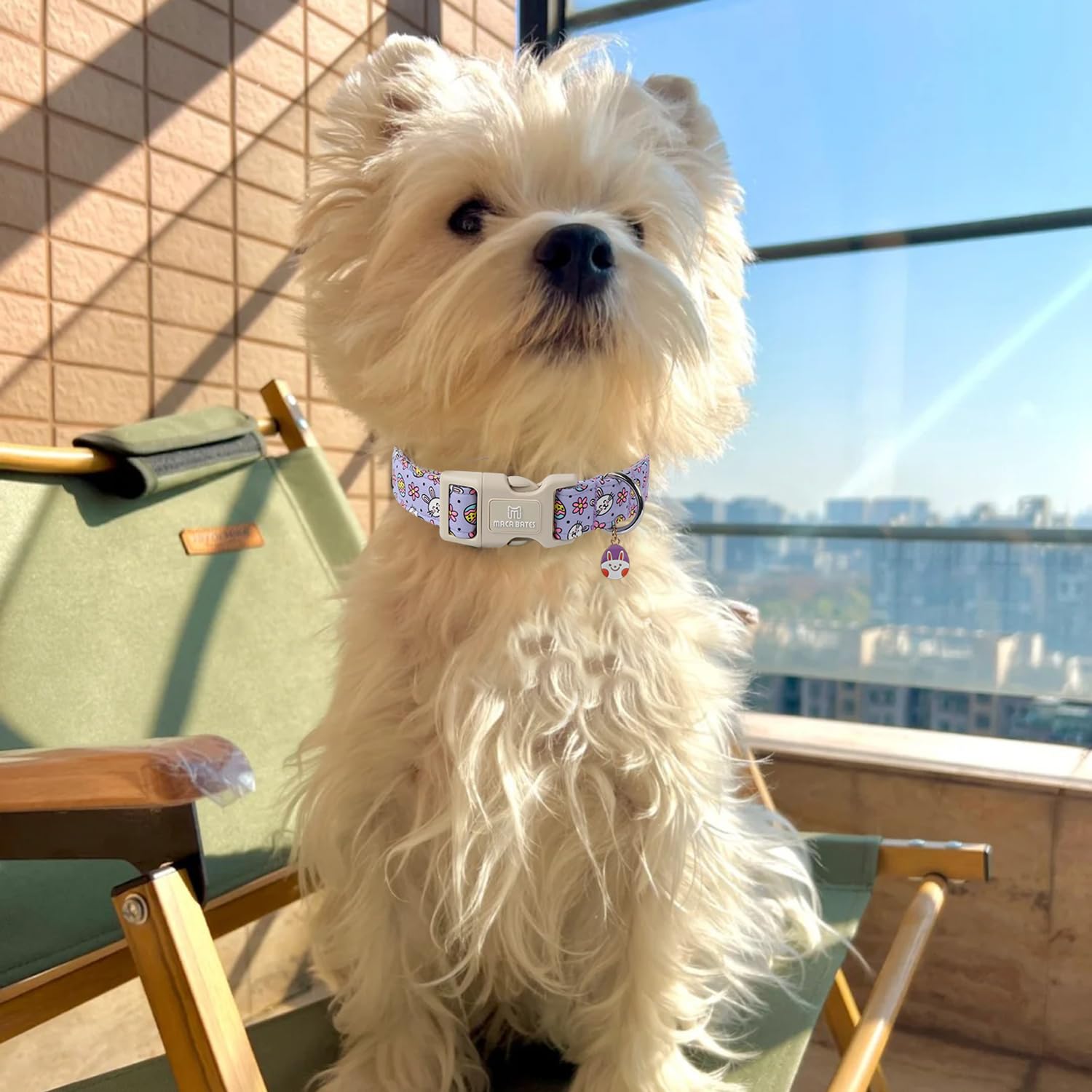 Maca Bates Easter Day Dog Collar Egg And Bunny Dogs Collars Soft Durable Cute Adjustable Purple Eggs Collor Easters Rabbit Gift