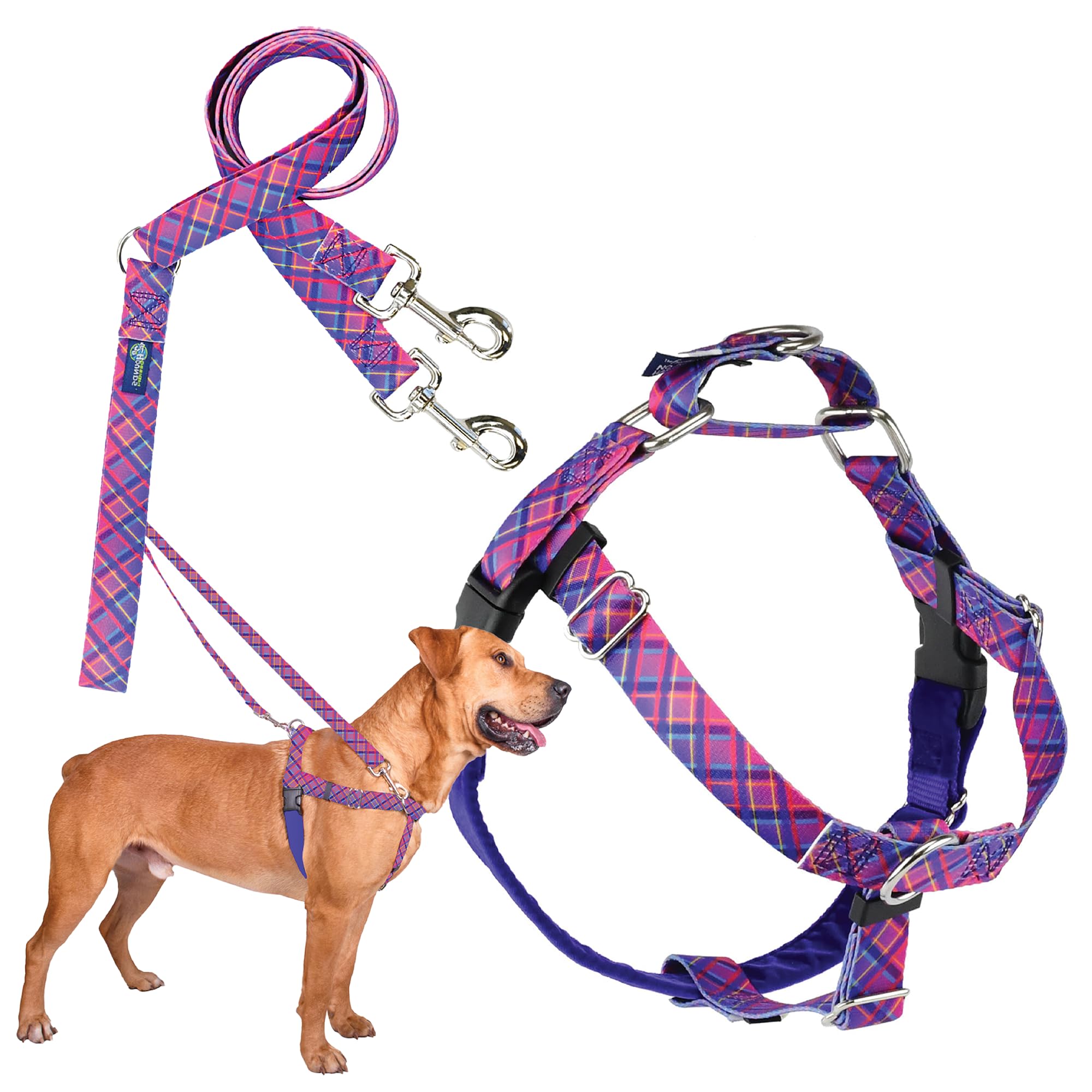 2 Hounds Design - Freedom No-Pull Harness & Training Leash In Pink And Purple | Dual Leash Loops, No Pulling On Walks | Lined To