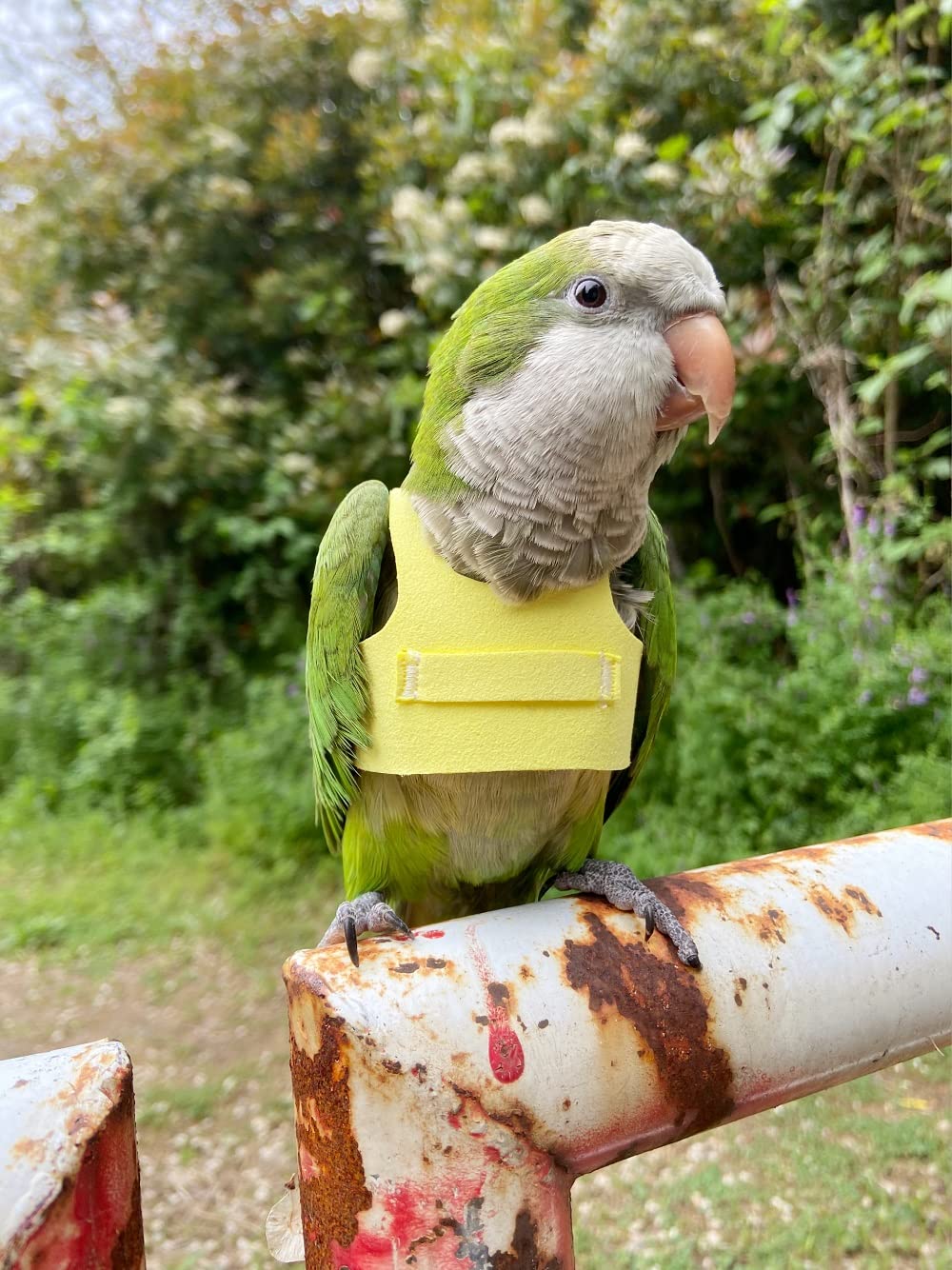 Bird Flight Harness Vest, Parrot Flight Suit With Leash For Parakeets Cockatiels Conures Budgies, Bird Flying Clothes With Rope And Handle For Outdoor Activities Training, Anti Bite (L, Yellow)
