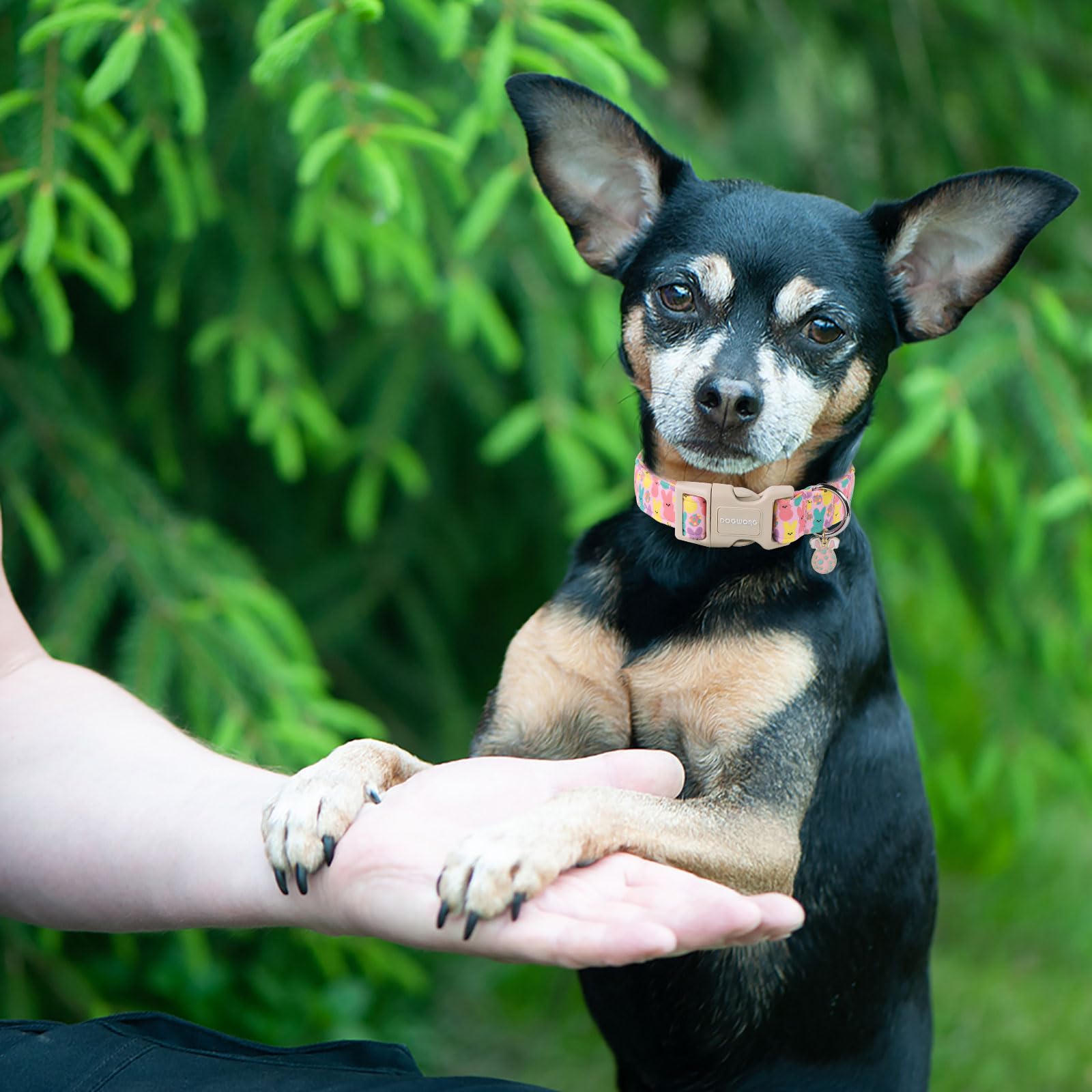 Dogwong Easter Bunny Eggs Adjustable Soft Collar For Large Dogs