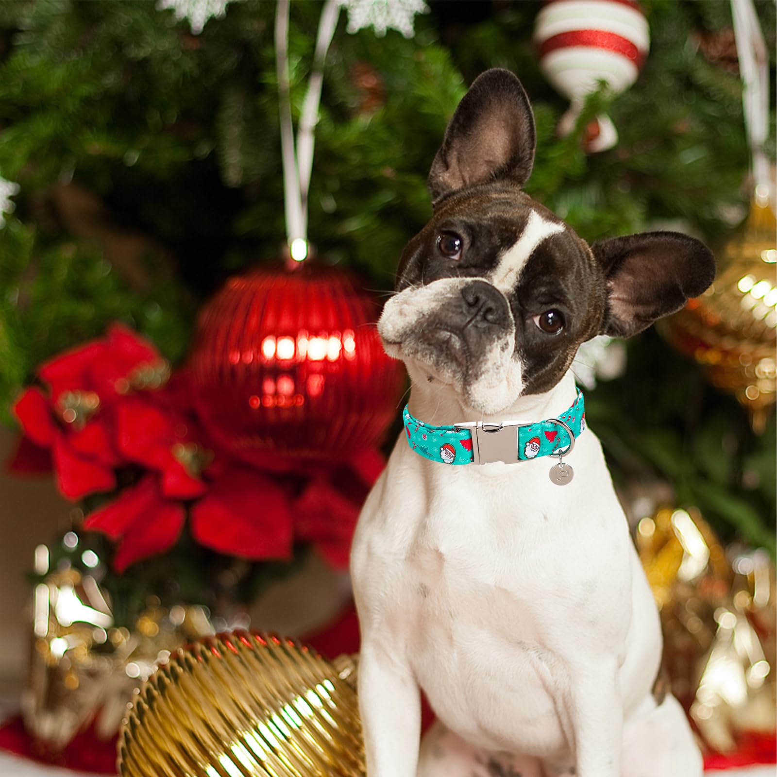 Up Urara Pup Christmas Dog Collar, Christmas Collar For Puppy Girl Boy Dog Or Cat, Holiday Dog Collar With Durable Metal Buckle,