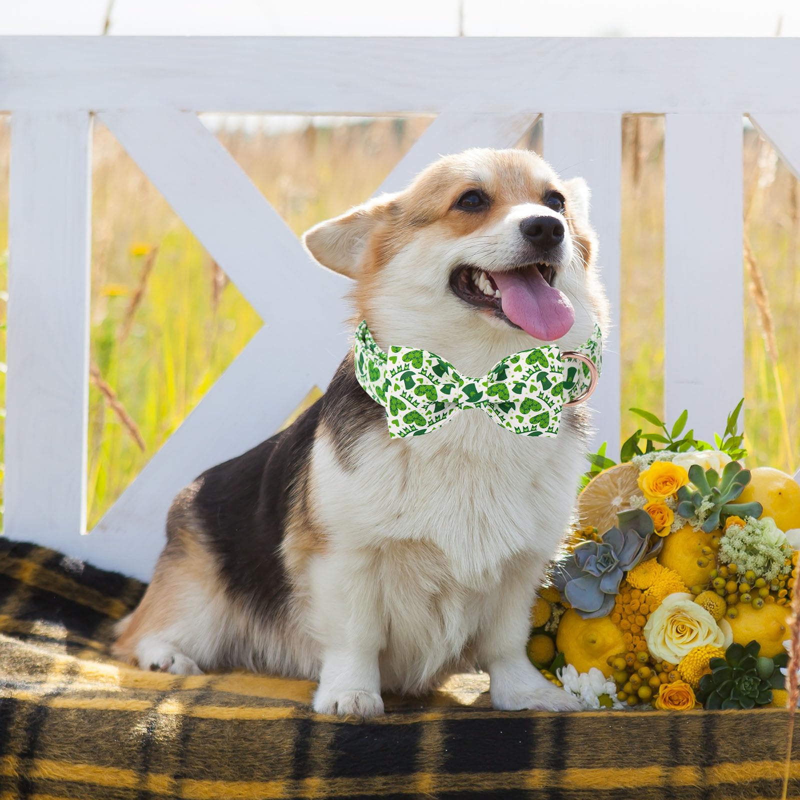Unique Style Paws St. Patrick'S Dog Collar With Bow Lucky Magic Hat Cotton Puppy Collars Navigation Wedding For Small Medium Lar