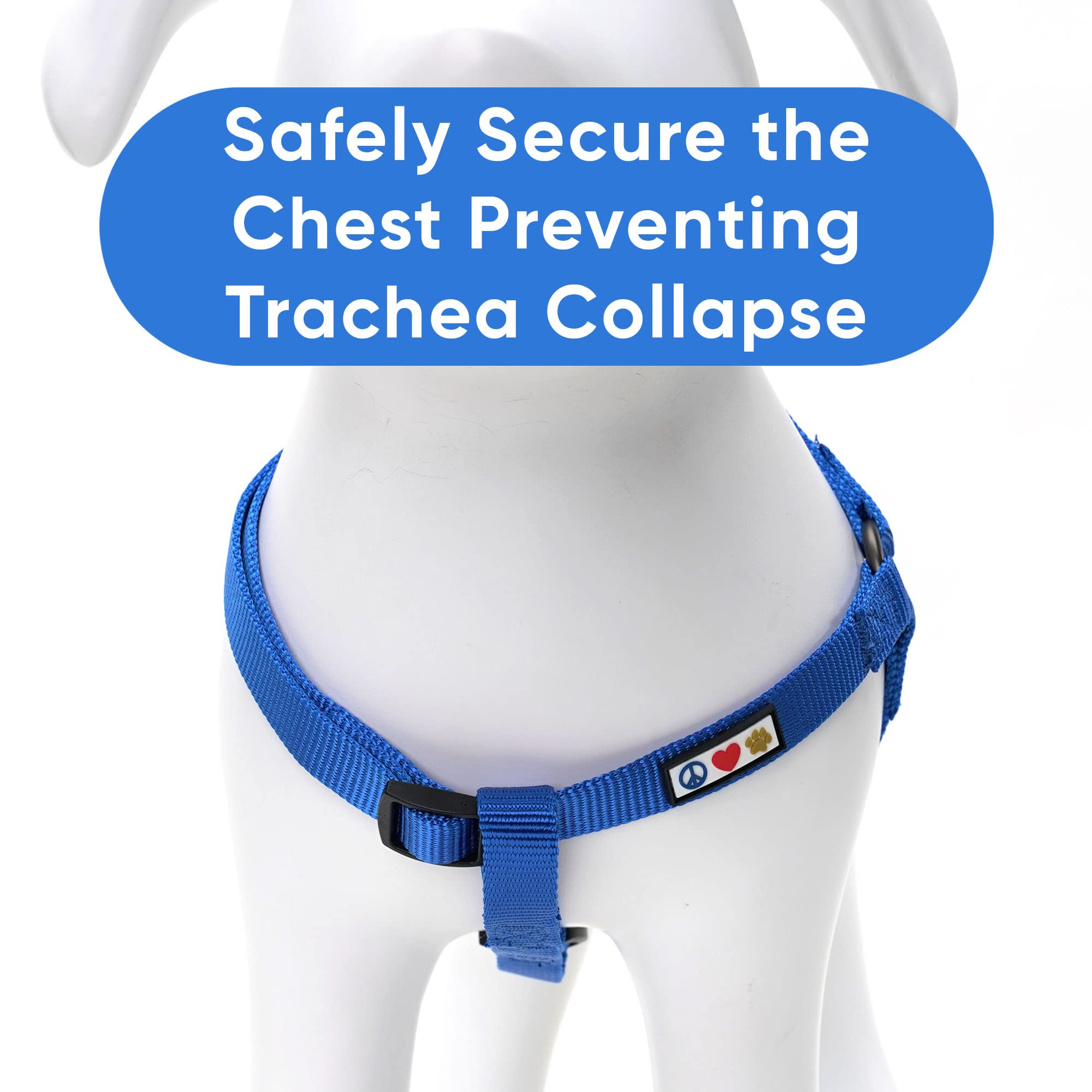 Pawtitas Solid Color Step-In Dog Harness - Blue, Large, For Puppy & Dog Training & Walking