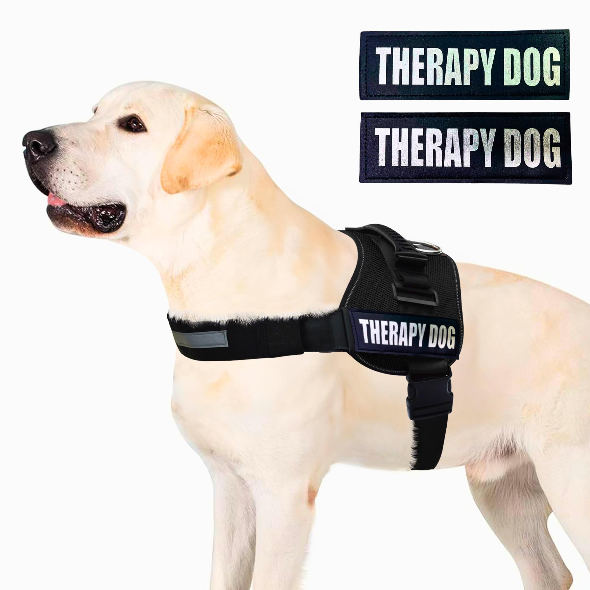 Albcorp Reflective Therapy Dog Vest Harness, Woven Nylon, Adjustable Service Animal Jacket, With 2 Hook And Loop Therapy Dog Removable Patches. Black, Extra Small