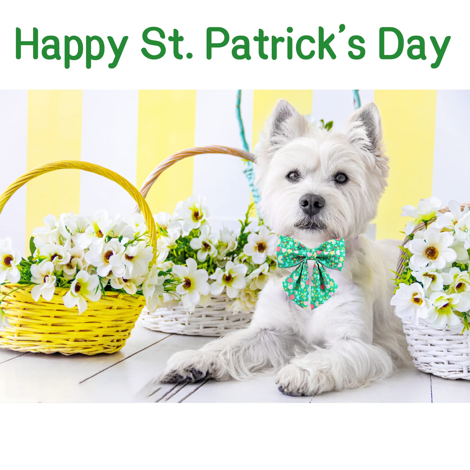 Unique Style Paws St. Patrick'S Day Dog Collar With Tie Rainbow Clover Heart Puppy Collar For Small Medium Large Boys Girls-S