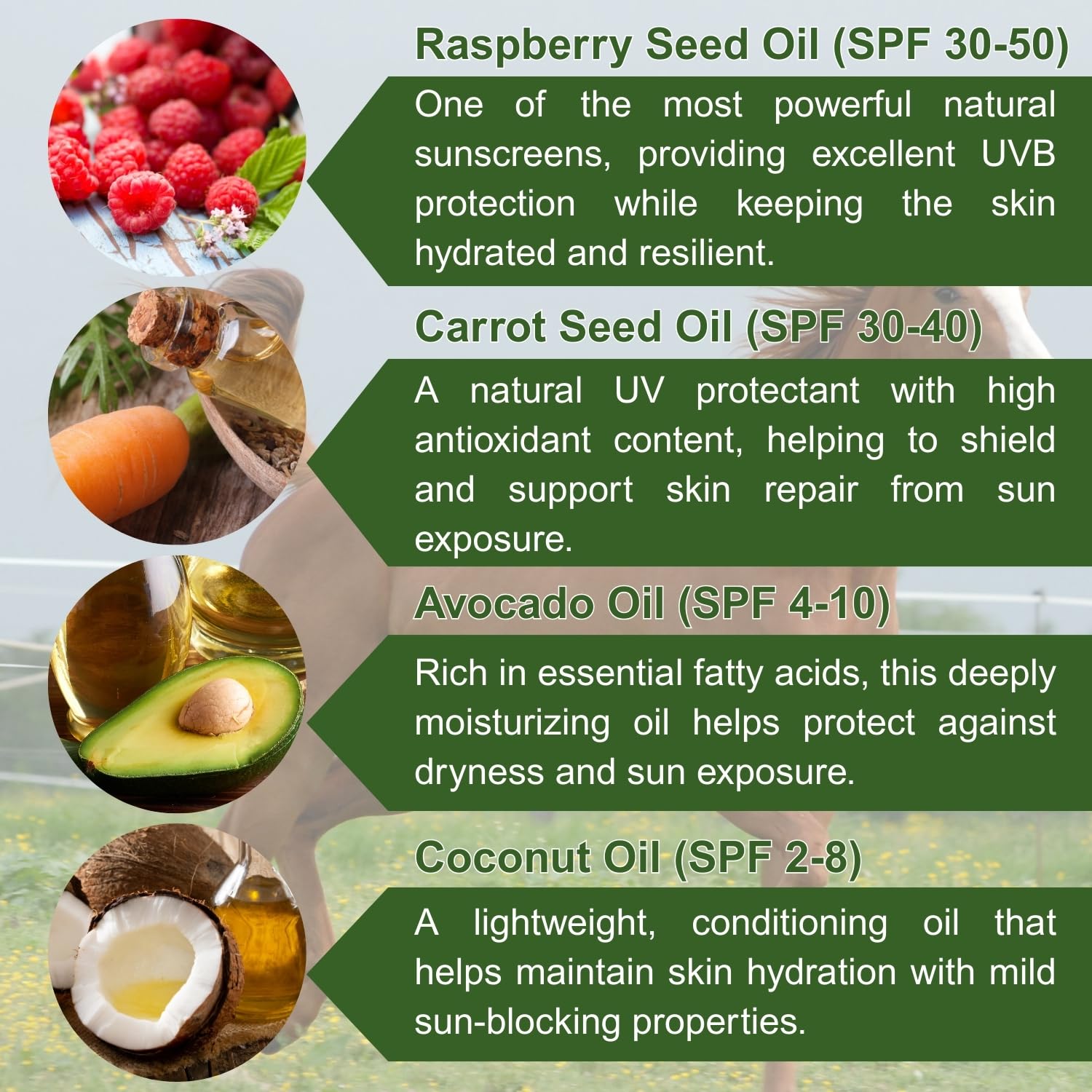 Horse Sunscreen - Nose Sun Protection - All Natural Spf Ingredients With Non-Nano Zinc Oxide - Pure Sole Equine Sun Block - Esse