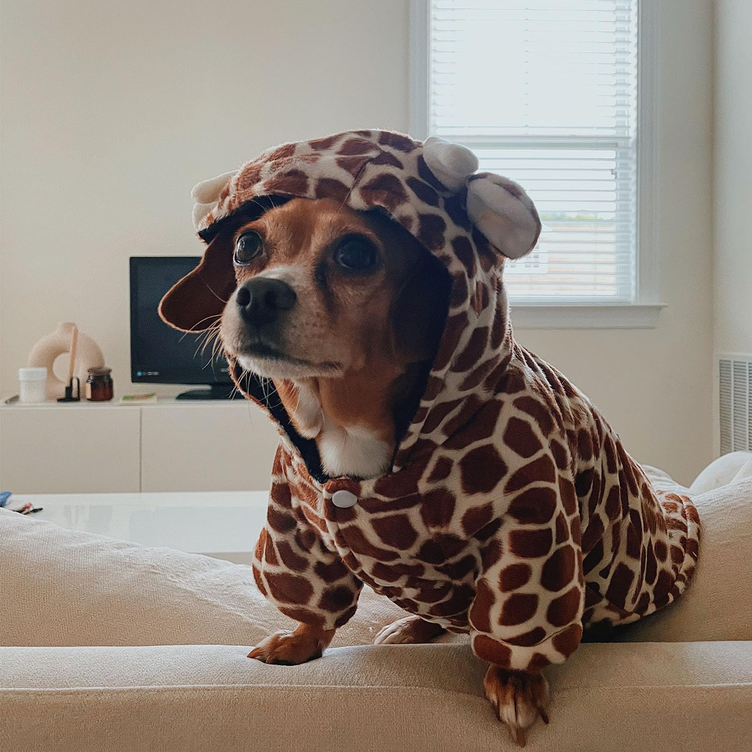 Fladorepet Funny Halloween Dog Giraffe Costume Outfits Clothes Winter Warm Fleece Dog Pet Cat Jacket Coat Hoodie (Xs(Pet 1-3Lbs), Brown)