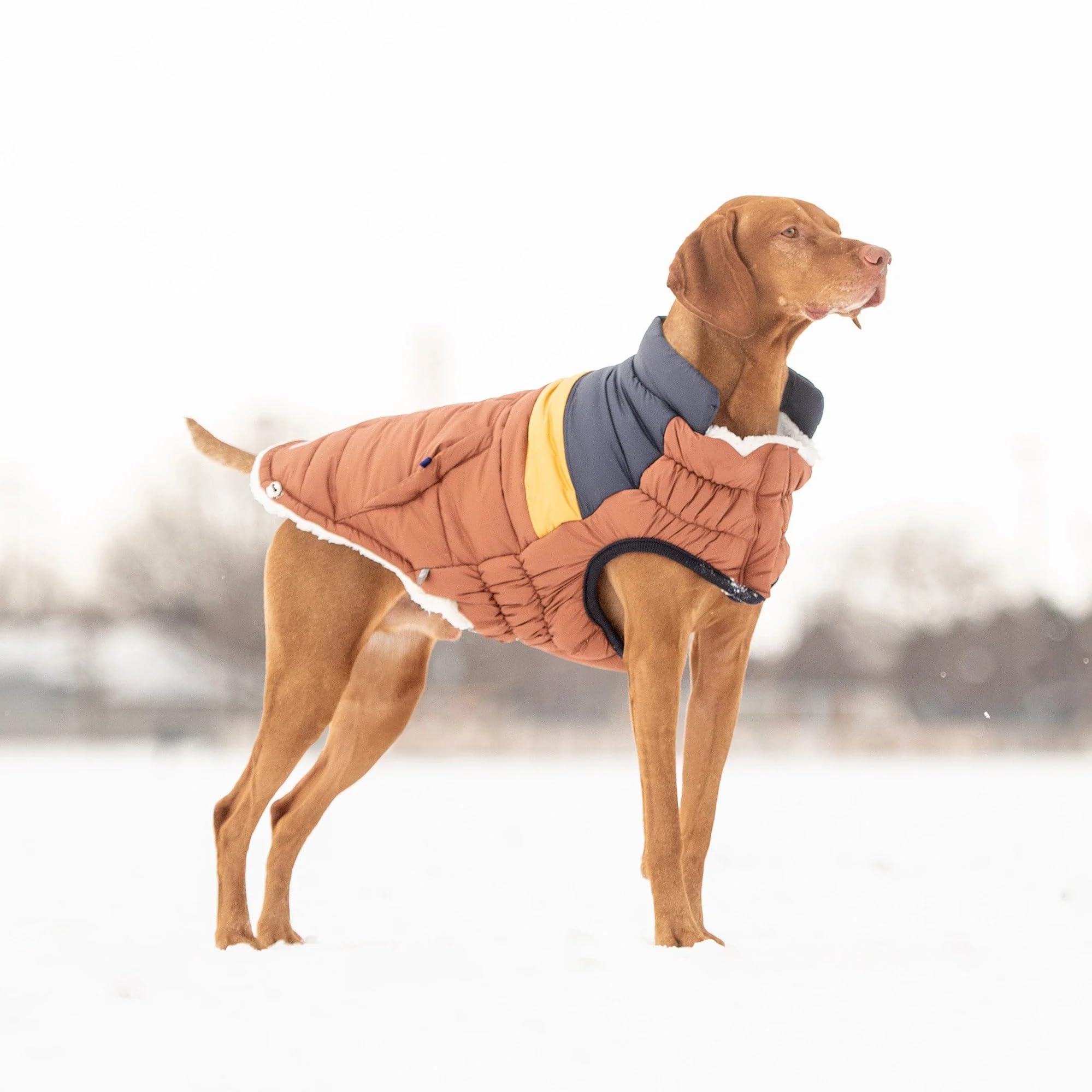 Elasto-Fit Classic Puffer Dog Jacket - Quilted Winter Pet Coat With Adjustable Straps, Waterproof Insulated Dog Outerwear For Small Medium Large Dogs, Easy On Off Design - Hazel, X-Large