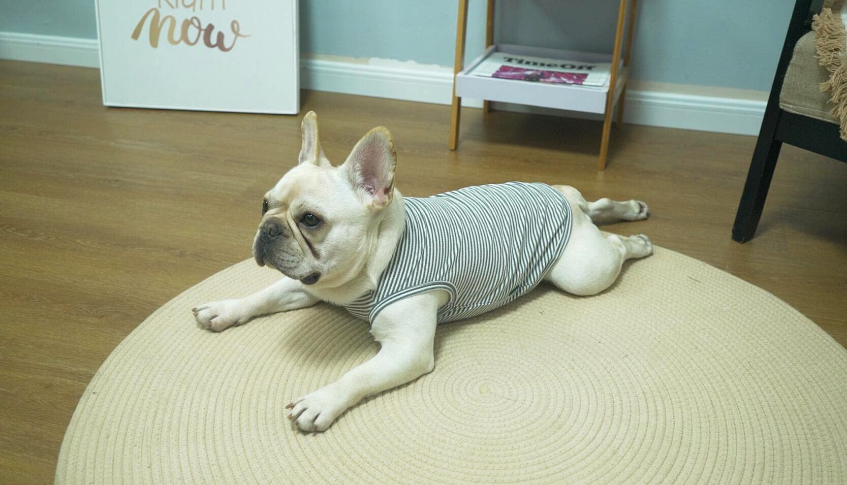 Sychien Dog Shirt Combed Cotton T-Shirts Soft Cool Boy Girl Tee For Large Dogs Bulldog Grey Striped L -Like New