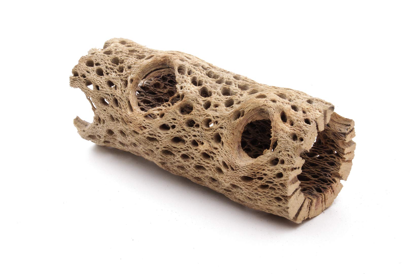 My Pet Patrol 3 to 48 Inch All Natural Teddy Bear Cholla Wood Extra Hollow Large Untreated Organic Aquarium Driftwood Decoration