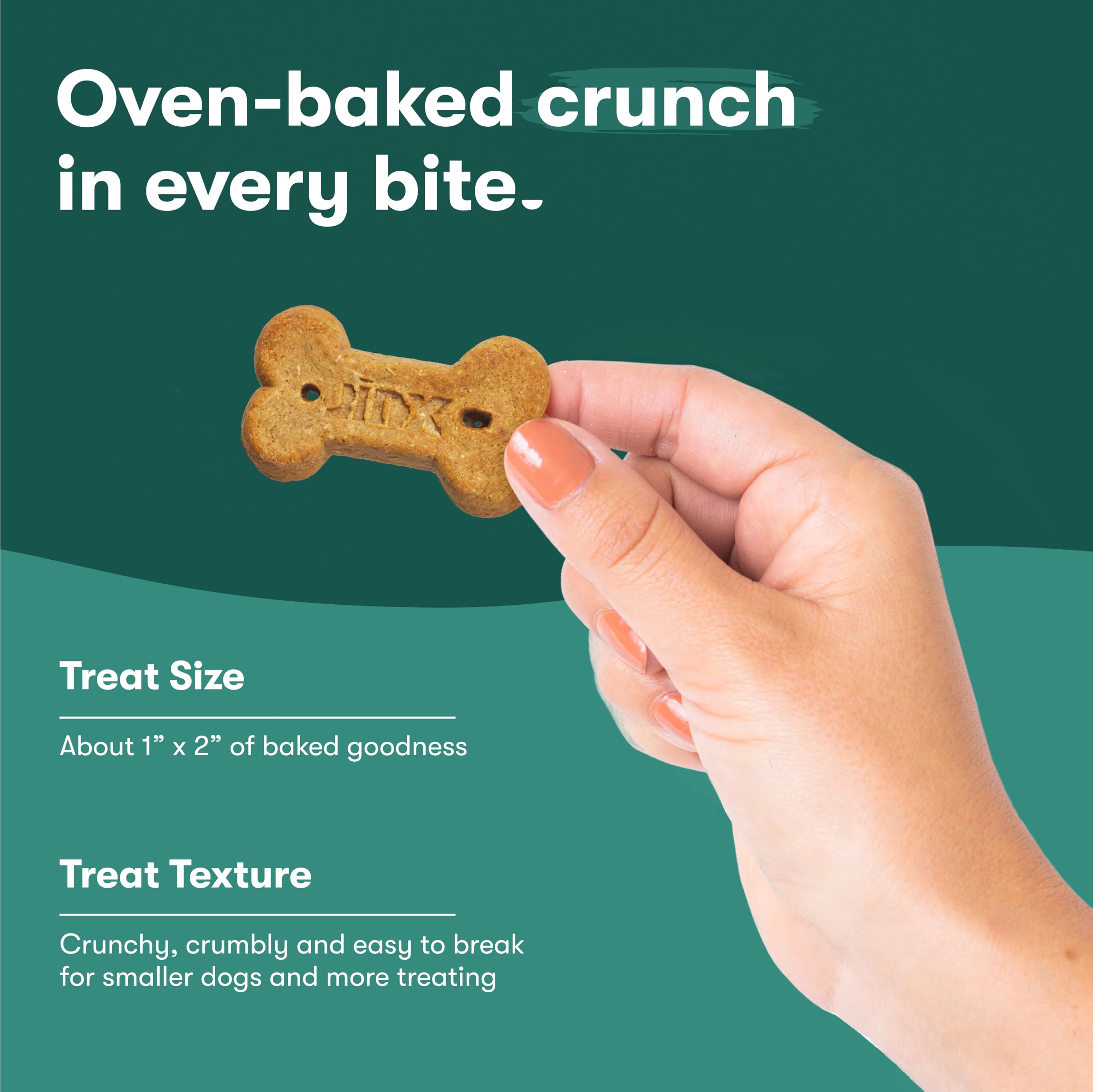 Jinx Oven-Baked Chicken Bone Broth Biscuit Dog Treats - Crunchy, All Natural, Superfood-Rich with Cage-Free Chicken, Dog Biscuit