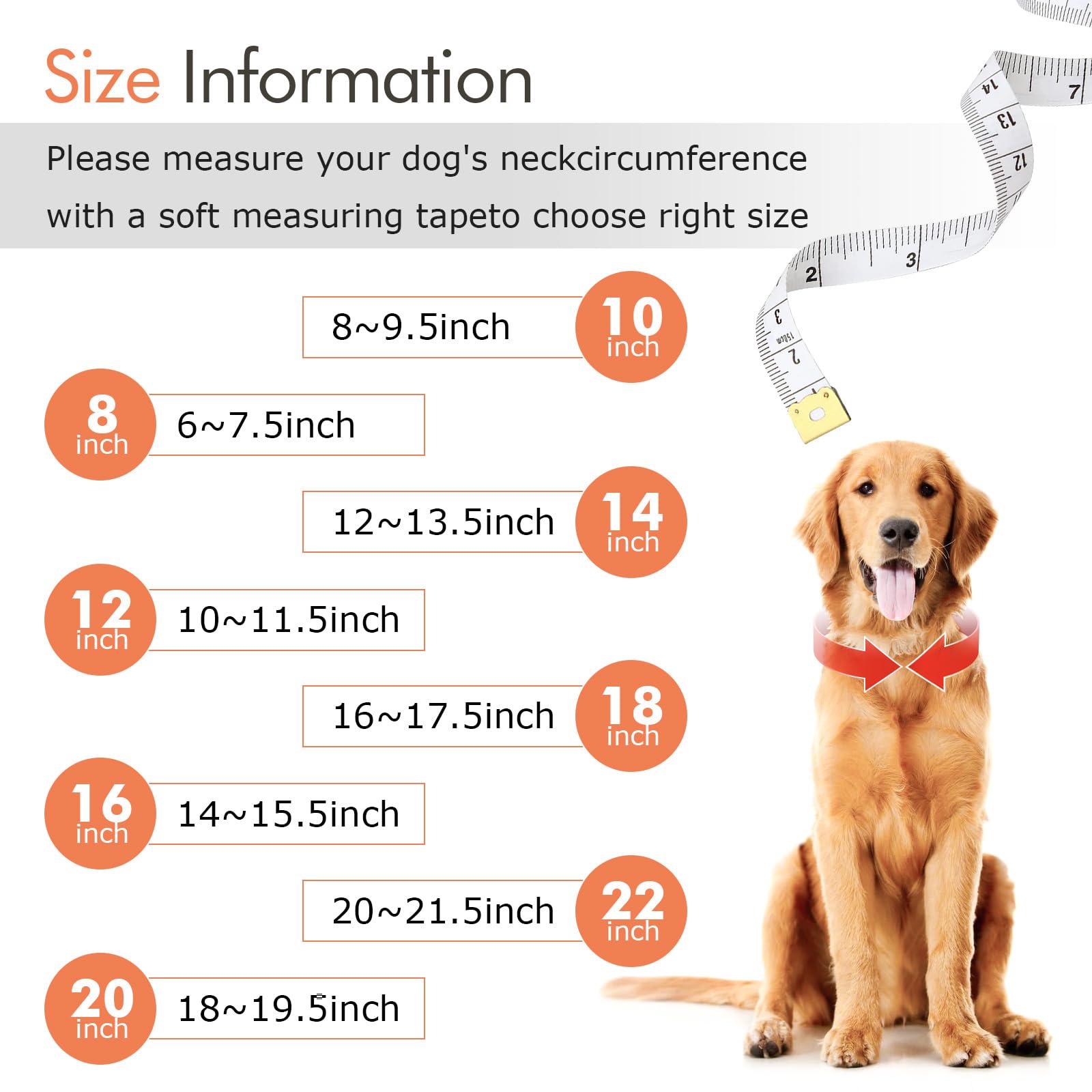 Cuban Link Dog Collar Rose Glod Crystal Dog Necklace Metal Chain Collar With Design Secure Buckle Pet Collar Jewelry Accessories