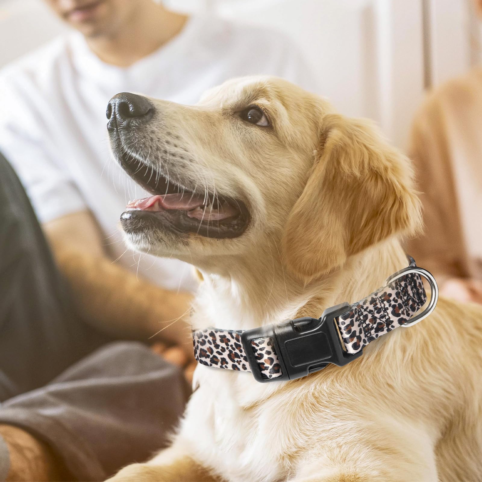 Leopard Dog Collar For Girl Boy Dogs, Adjustable Soft Male & Female Pet Collar For Small Medium Large Xl Dogs (Leopard M)
