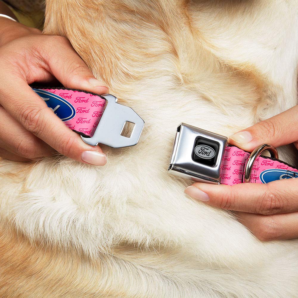 Buckle-Down Seatbelt Buckle Dog Collar - Ford Oval W/Text Pink - 1' Wide - Fits 11-17' Neck - Medium