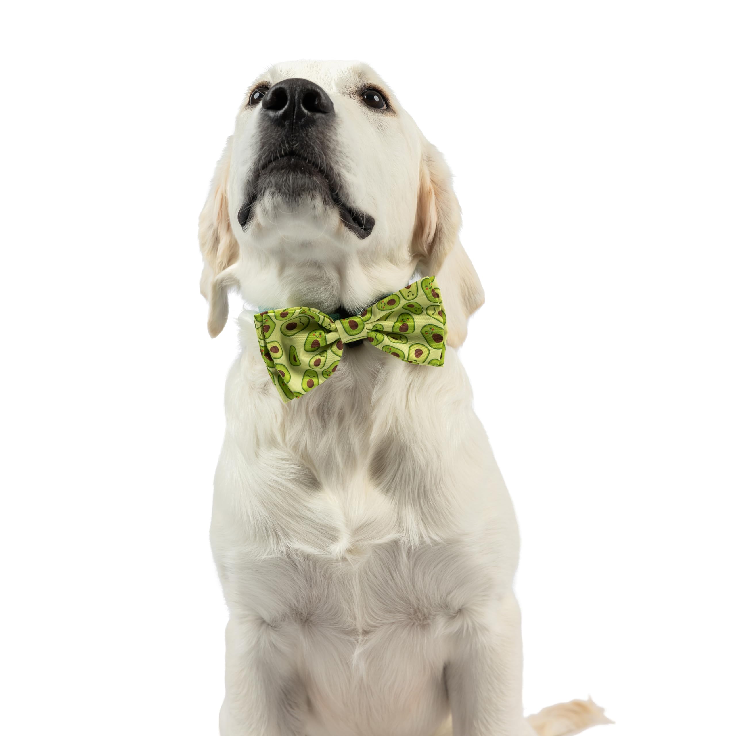 Huxley & Kent Bow Tie For Pets - Happy Avocados (Small) - Spring Bow Tie Collar Attachment - Fun Collar Accessory For Dogs & Cat