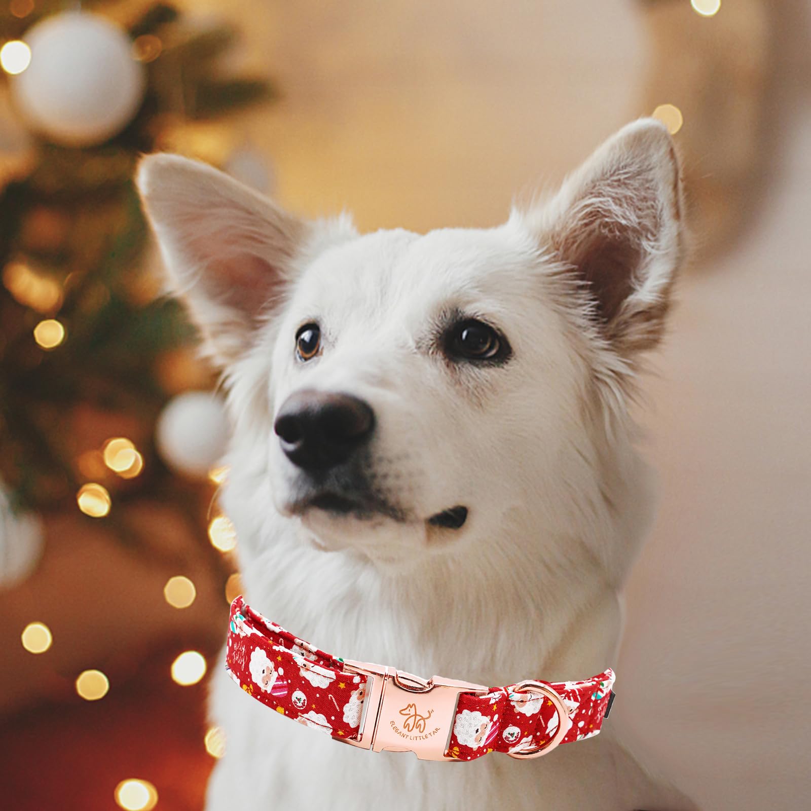 Elegant Little Tail Christmas Dog Collar, Red Santa Claus Print Pet Collar Dog Durable Cute Dog Collars Winter Holiday Male Or F
