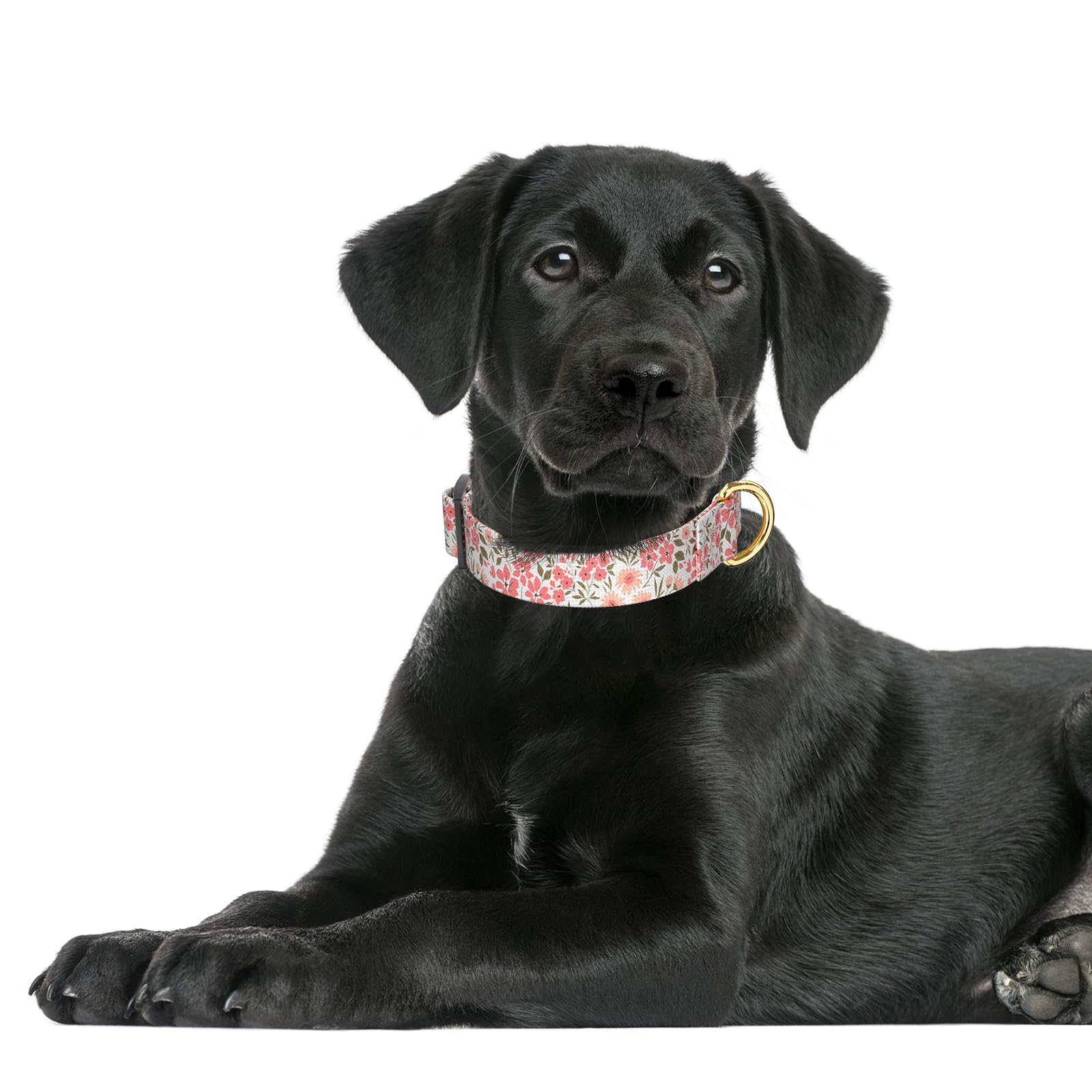 Rnivvi Dog Collar For Large Dogs, Cute Floral Heavy Duty Adjustable Puppy Collar With Quick Release Buckle For Girl & Female, Pe