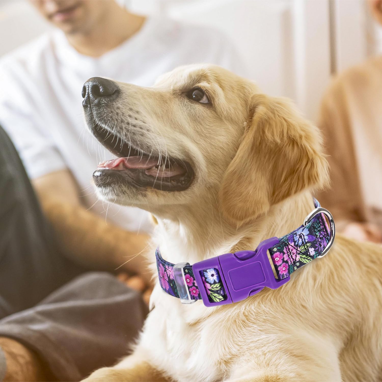 Purple Dog Collars For Large Dogs,Cute Girl Dog Collar With Boho Flowers Patterns,Adjustable Comfy Soft Durable Pet Cat Collar F