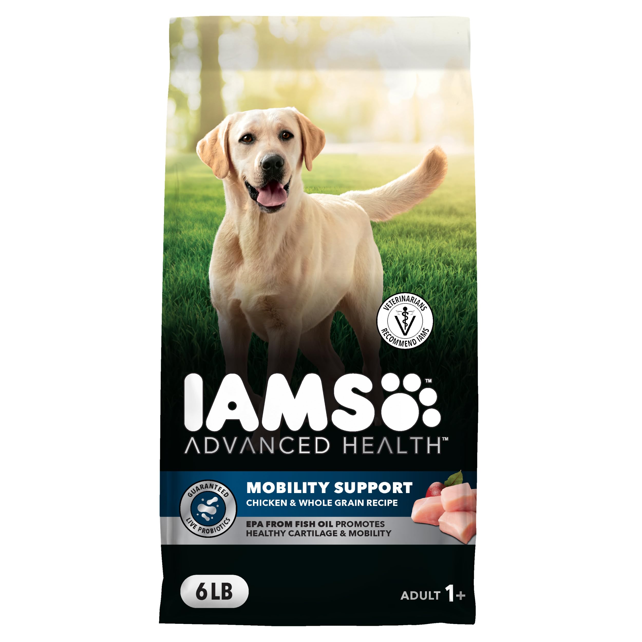 IAMS Advanced Health Mobility Support Chicken and Whole Grain Recipe Adult Dry Dog Food, 6 lb. Bag