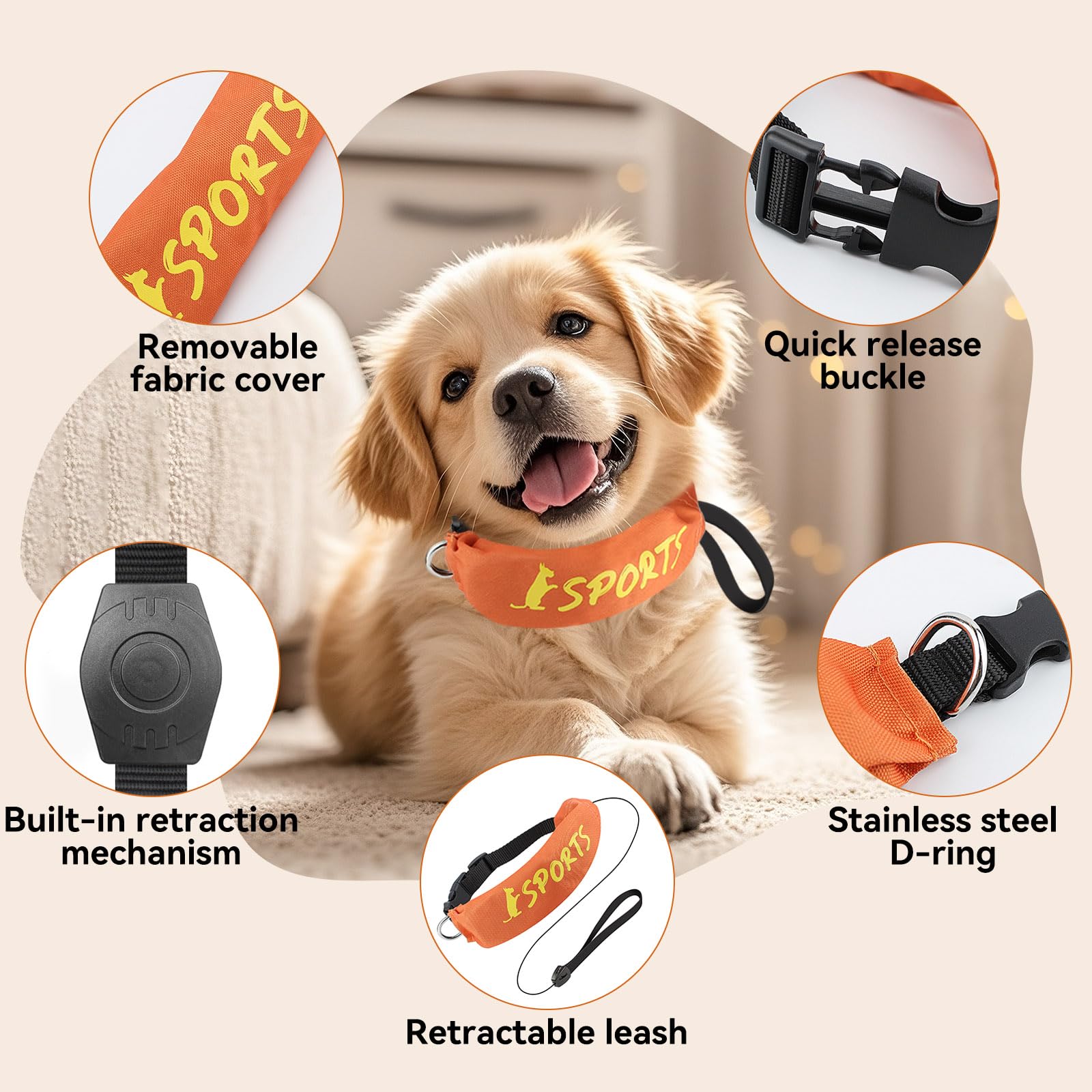 2 In 1 Dog Collar With Retractable Dog Collar And Leash Adjustable Collars For Small To Medium Dogs